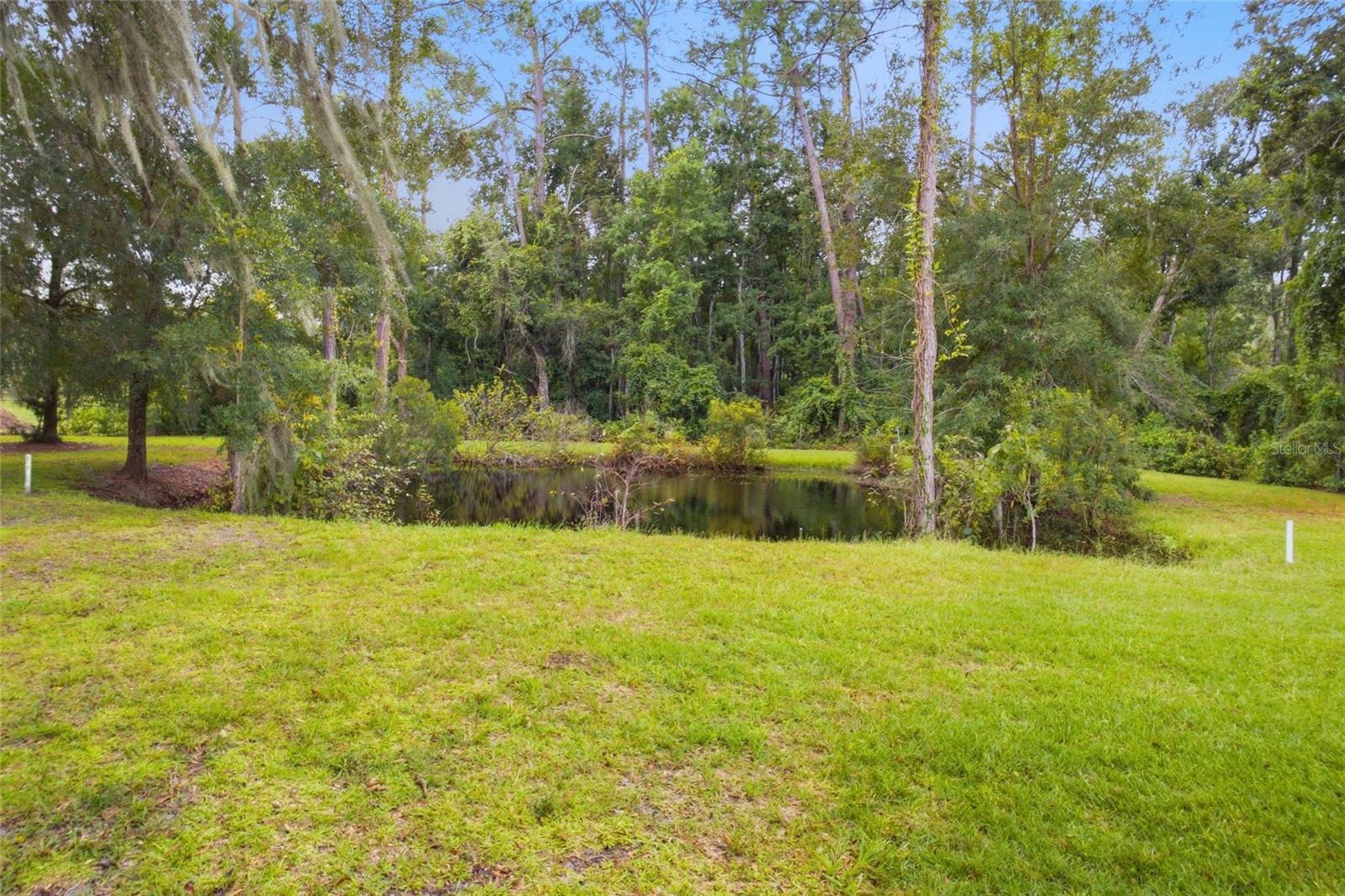 28434 SONNY DR — photo 25