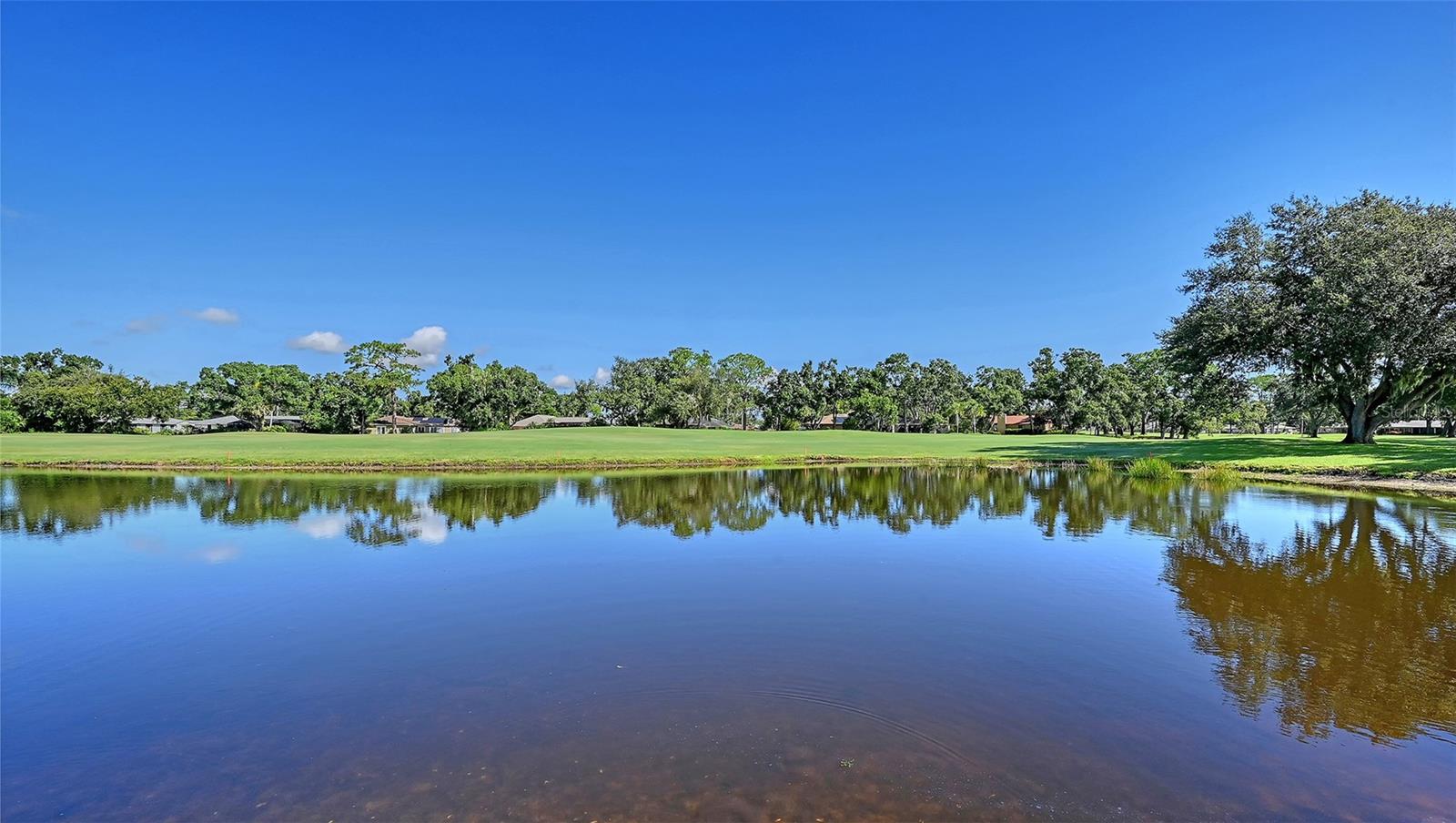 5513 PALM AIRE DR — photo 31