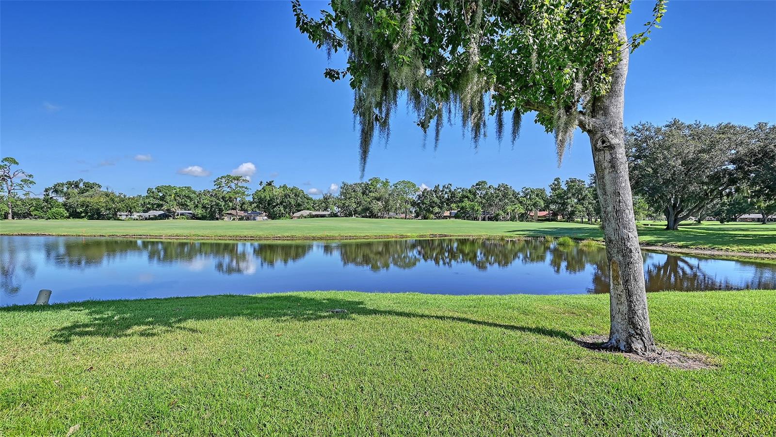 5513 PALM AIRE DR — photo 30