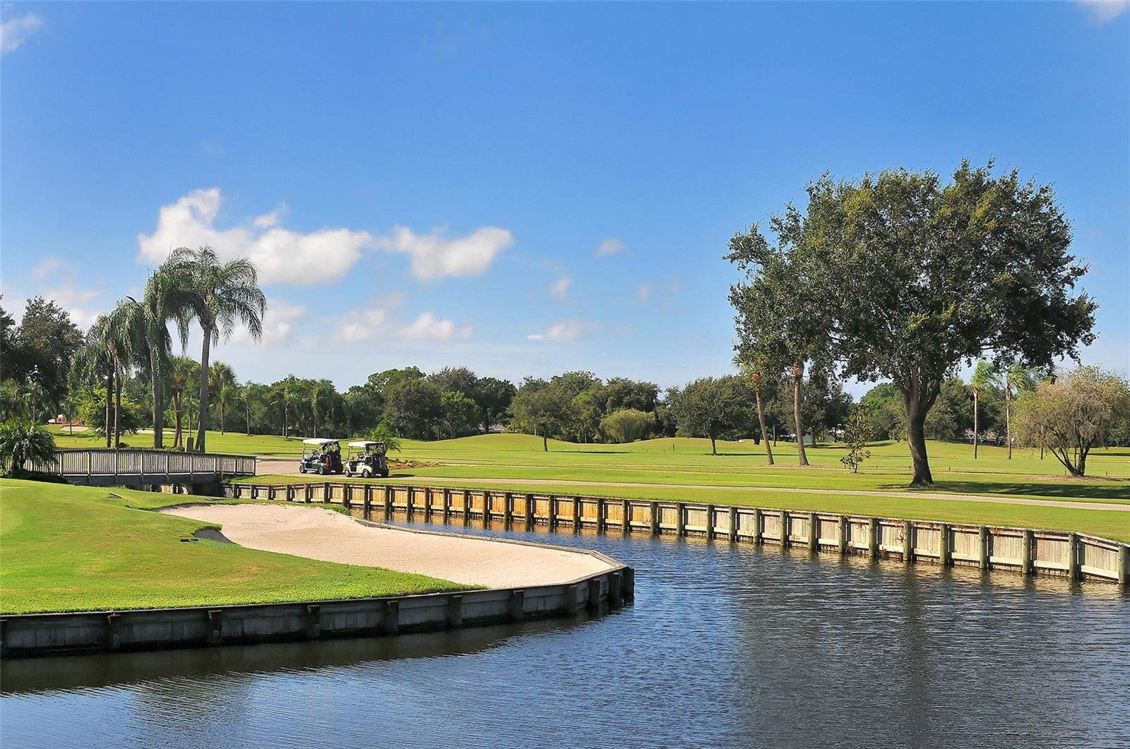 5513 PALM AIRE DR — photo 61