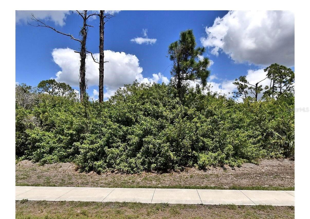 0 W HILLSBOROUGH BLVD — photo 7