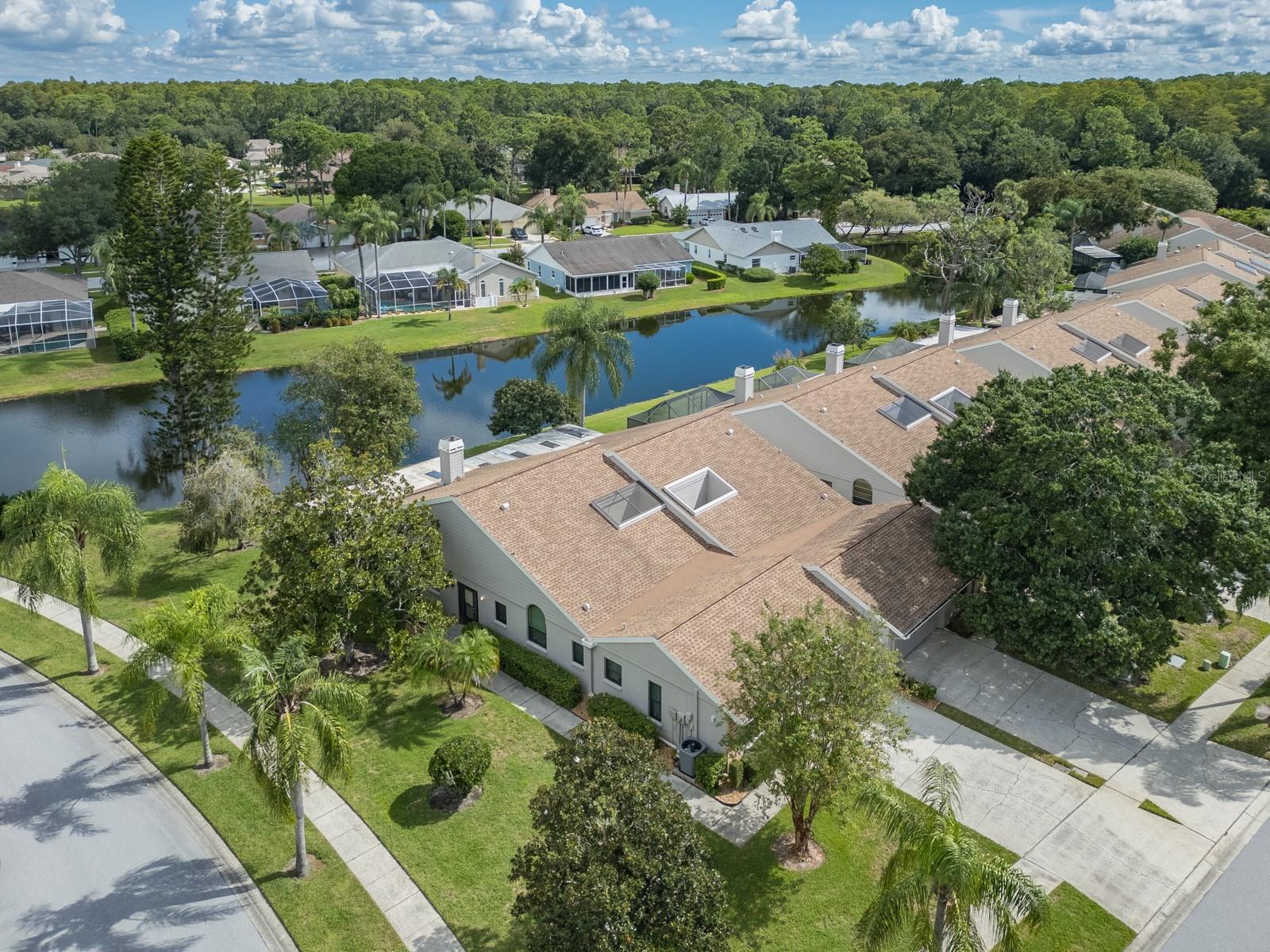 Home in PALM HARBOR — photo 52