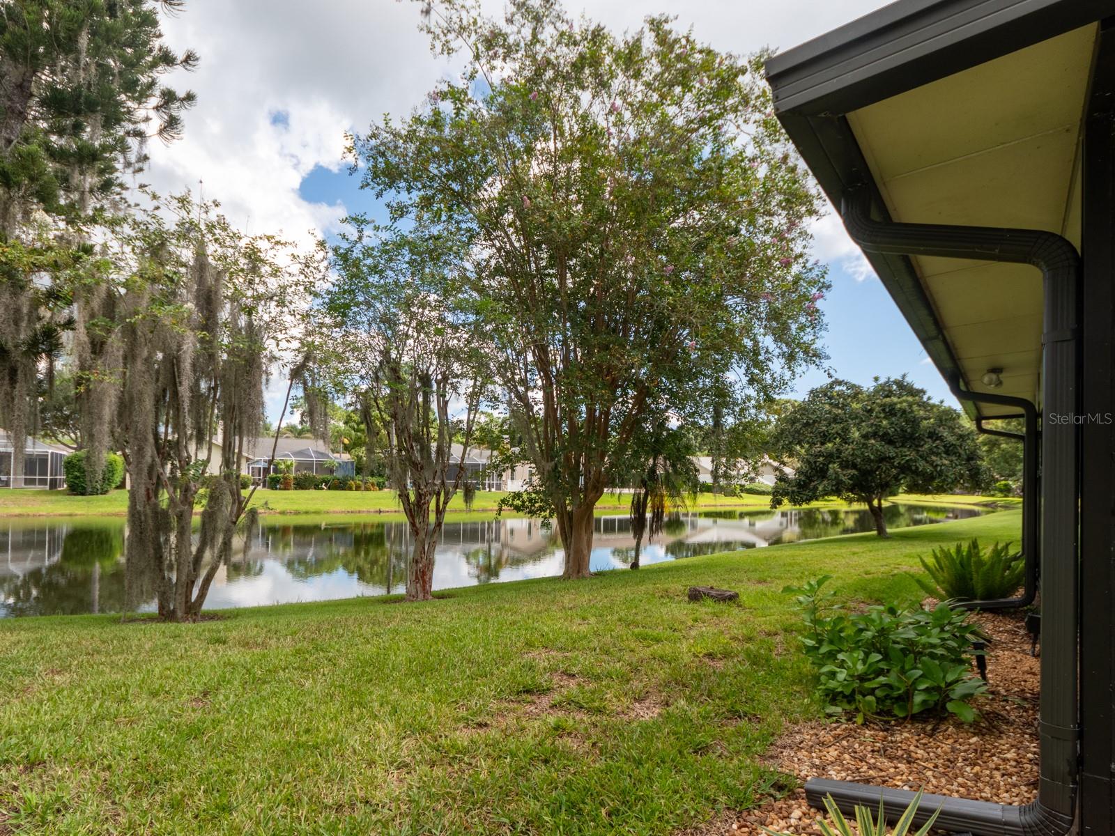Home in PALM HARBOR — photo 17