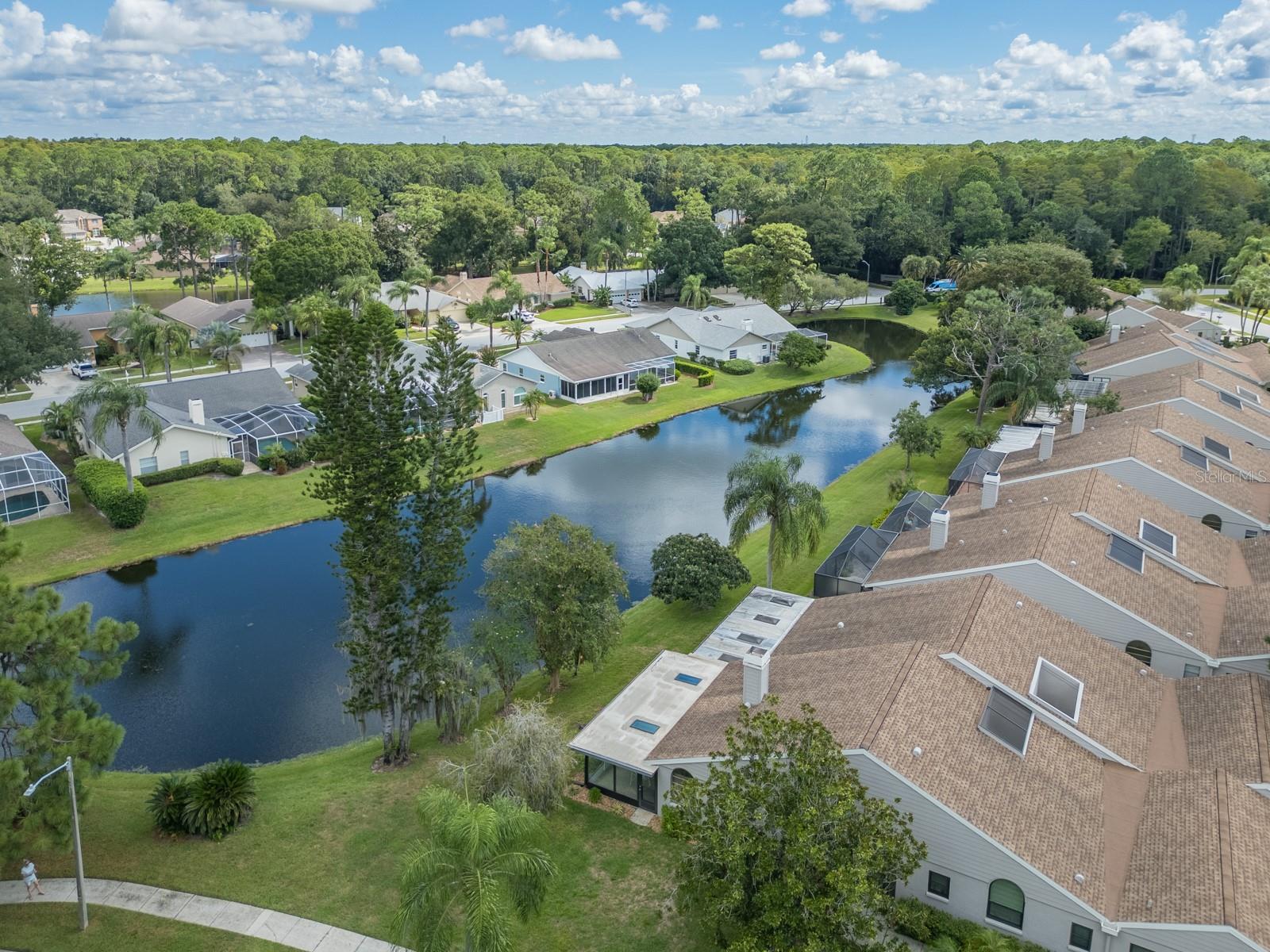 Home in PALM HARBOR — photo 54