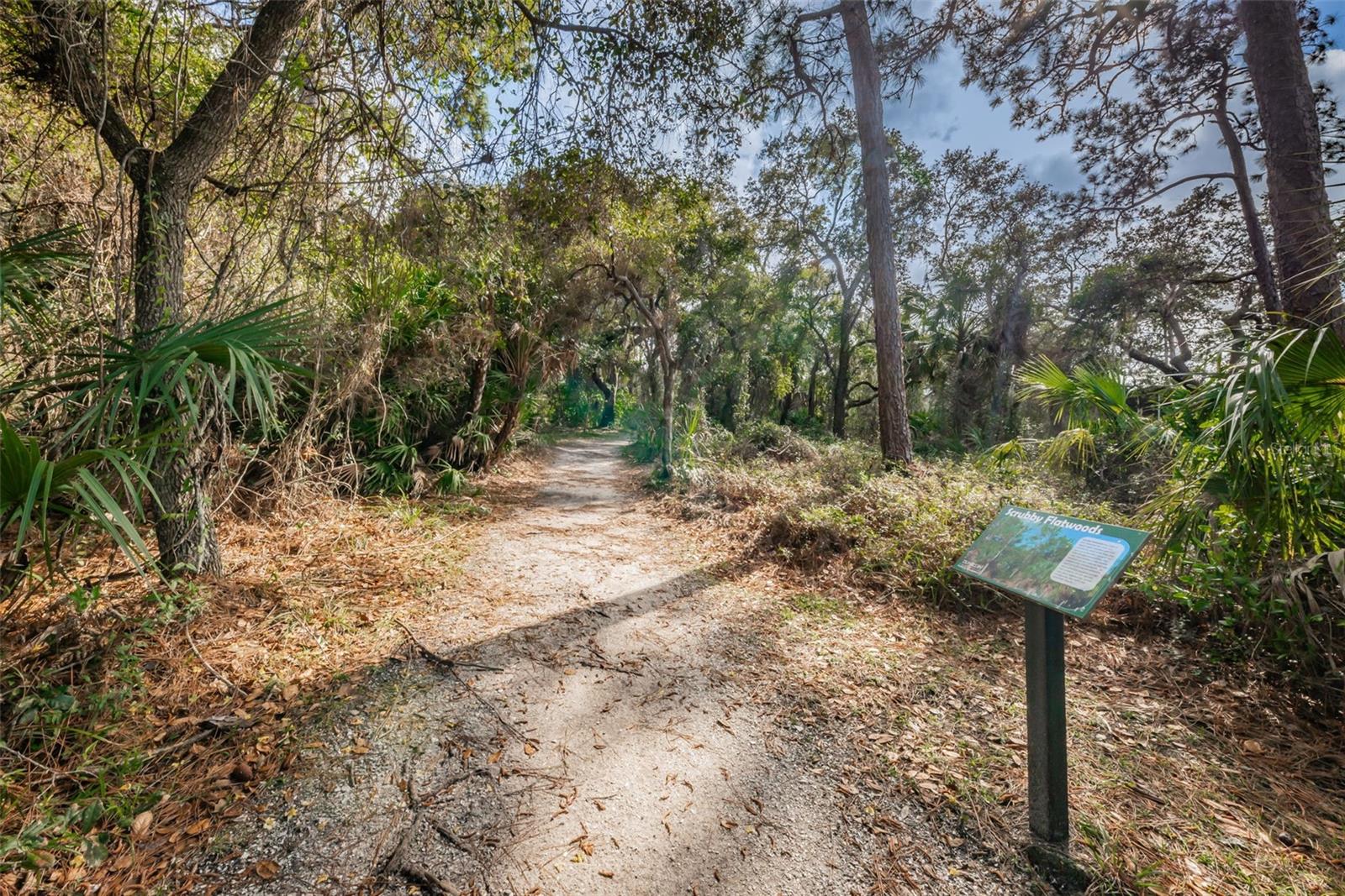 2287 CAROLYN DR — photo 49