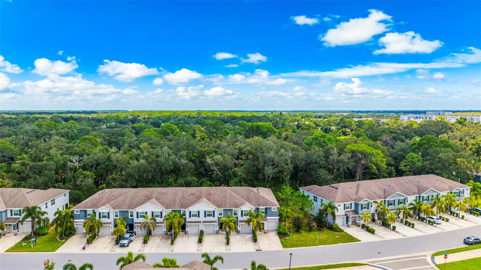 2399 MIDNIGHT PEARL DR — photo 43