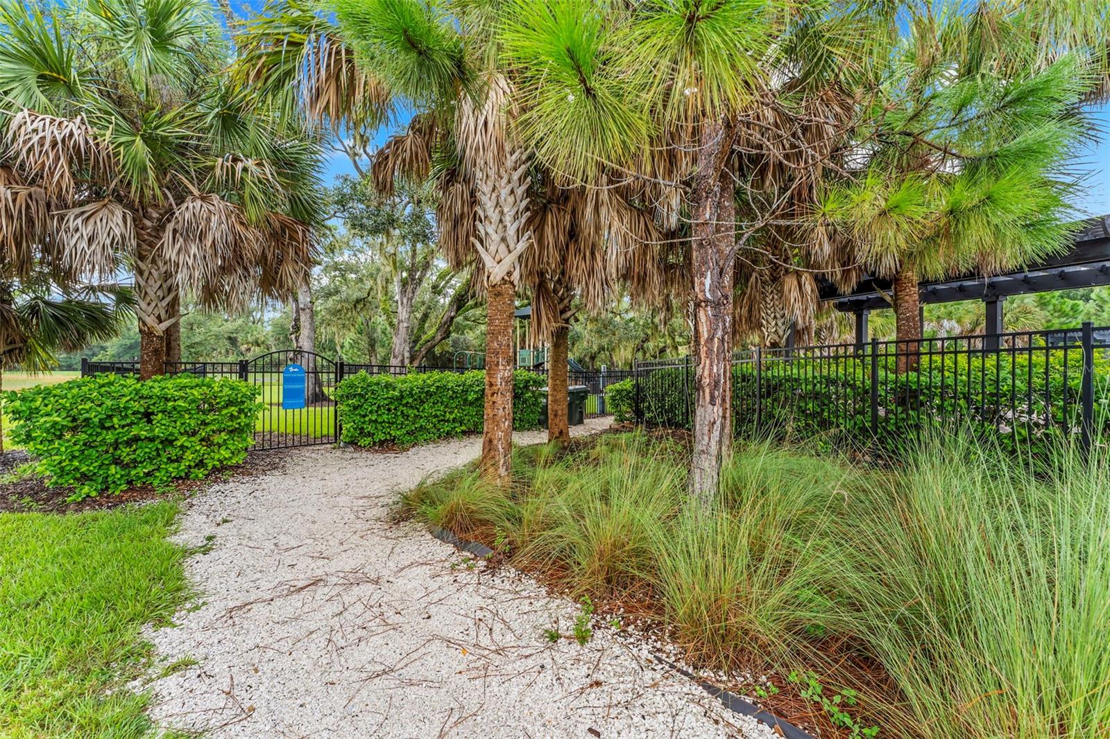 2399 MIDNIGHT PEARL DR — photo 41
