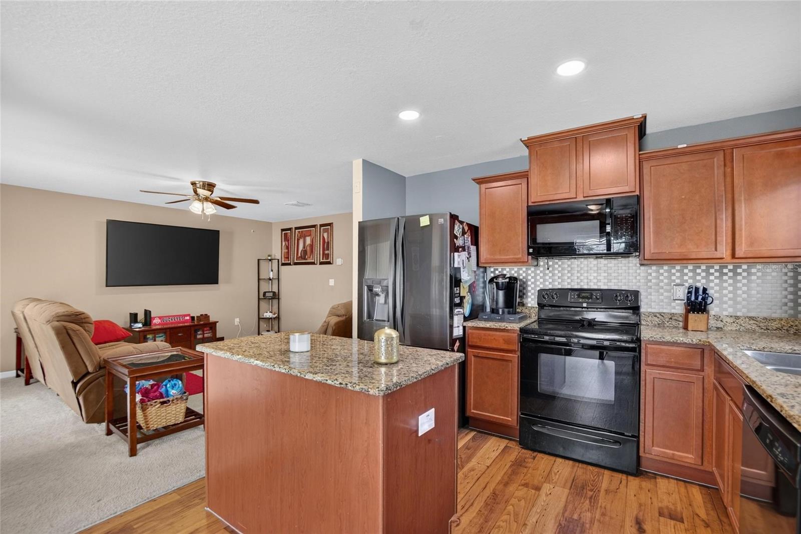 14441 ALISTAR MANOR DR — photo 17