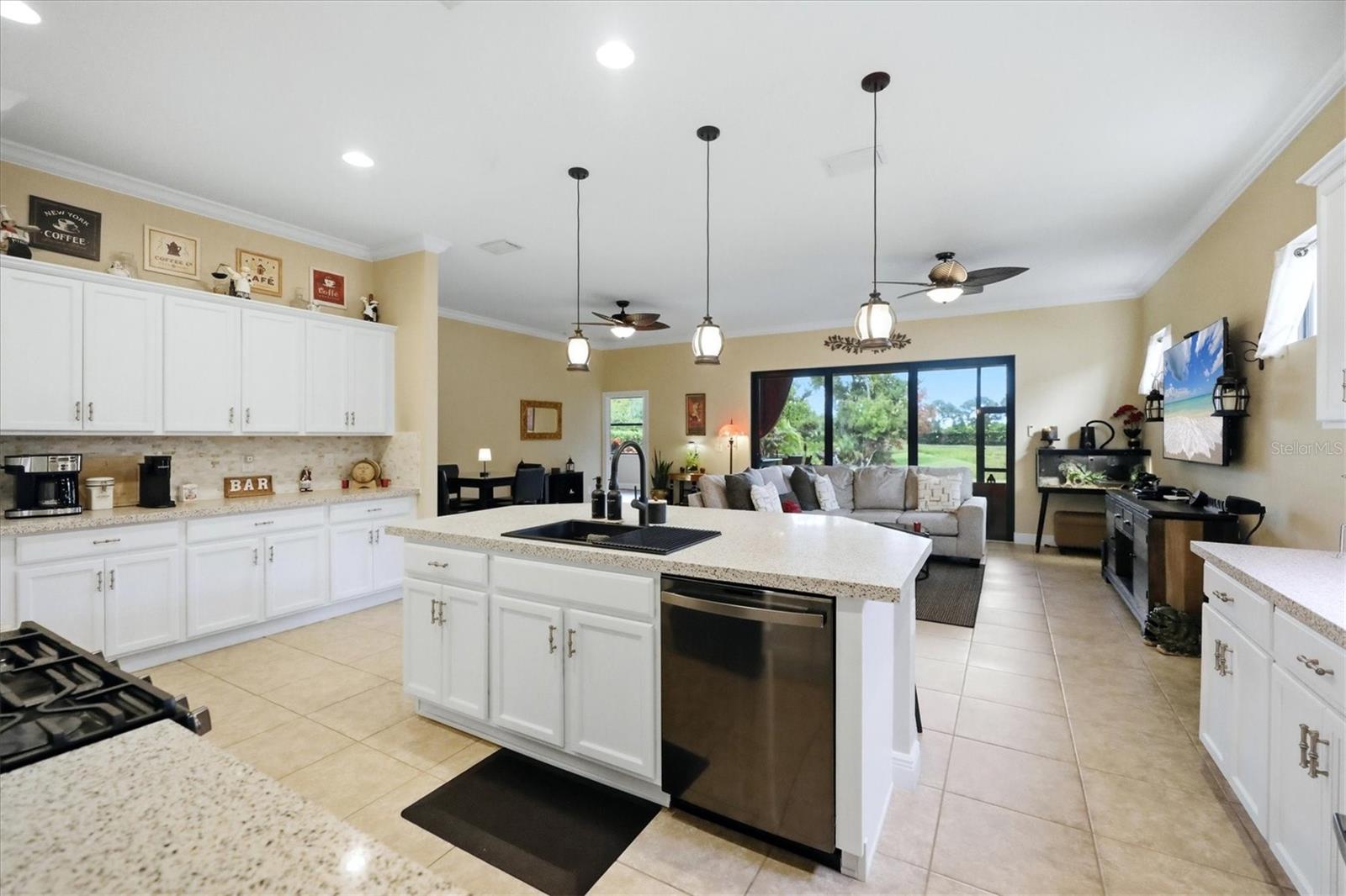 10035 MARBELLA DR — photo 12