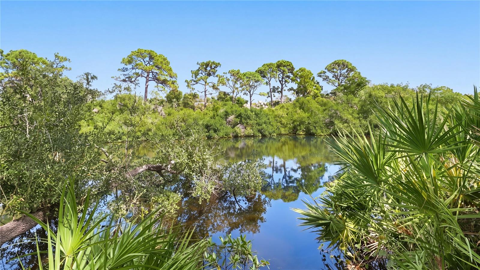 324 OSPREY POINT DR — photo 75