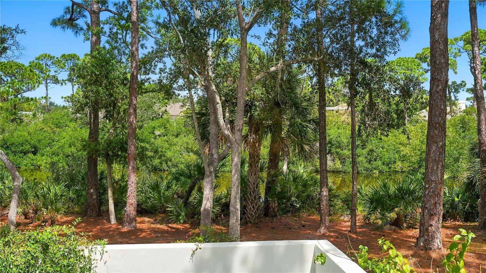 324 OSPREY POINT DR — photo 73