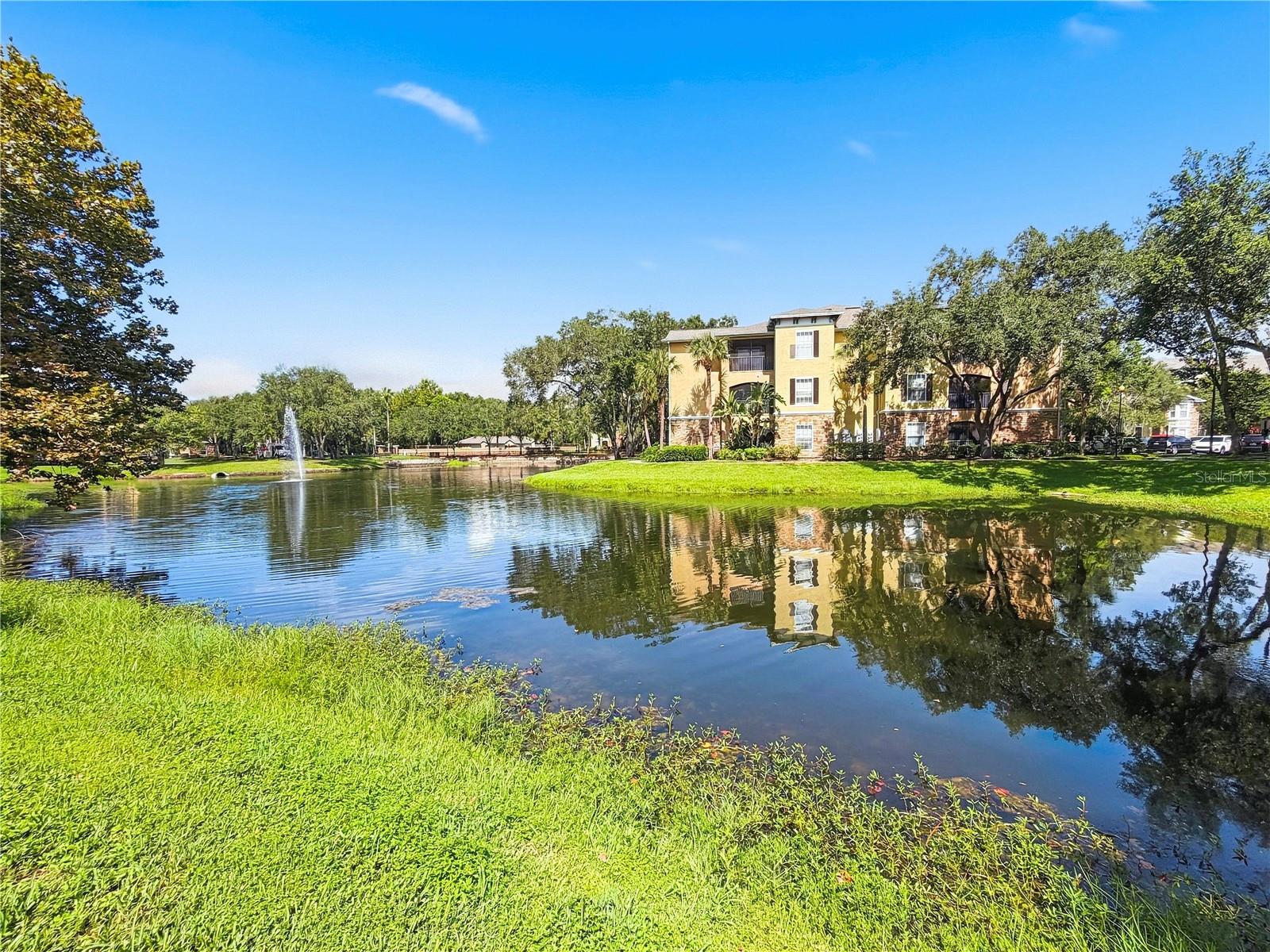 10209 COURTNEY PALMS BLVD #203 — photo 21