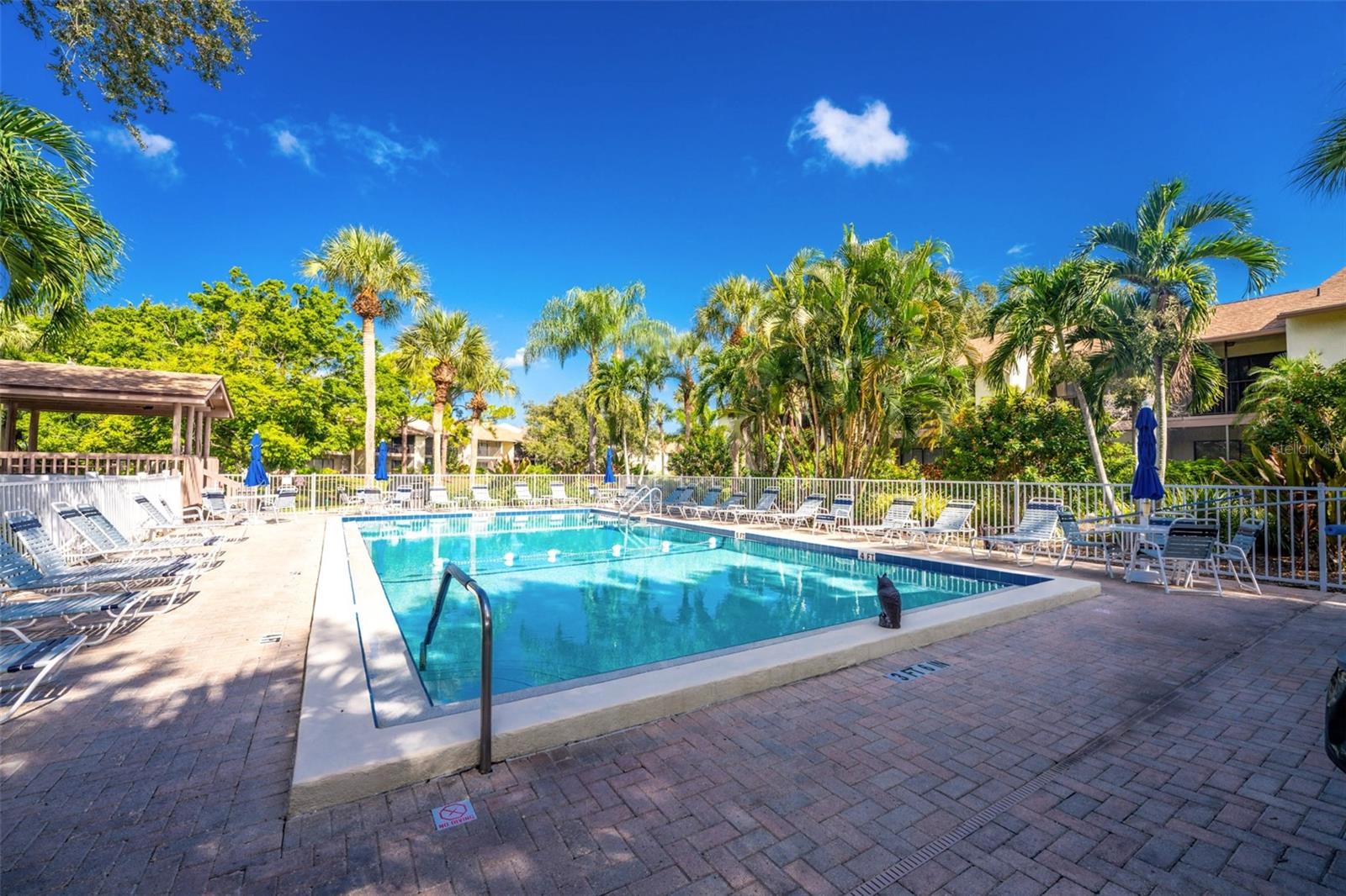 642 BIRD BAY DR E #205 — photo 59