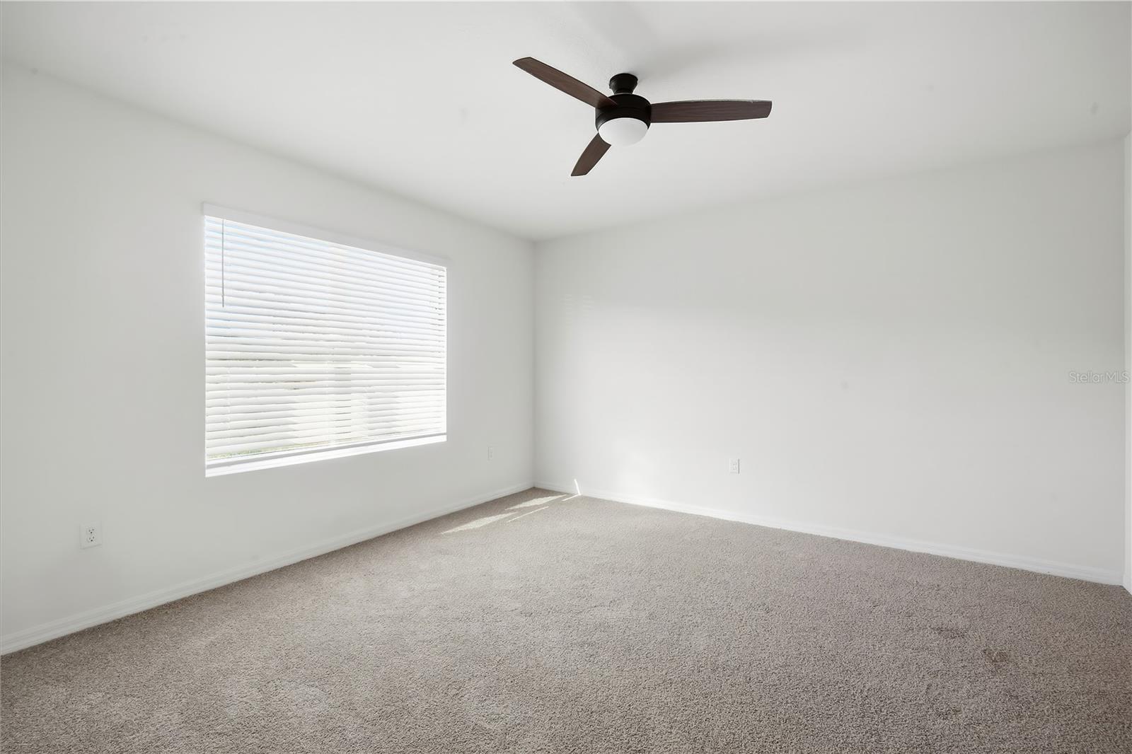 10836 TRAILING VINE DR — photo 15