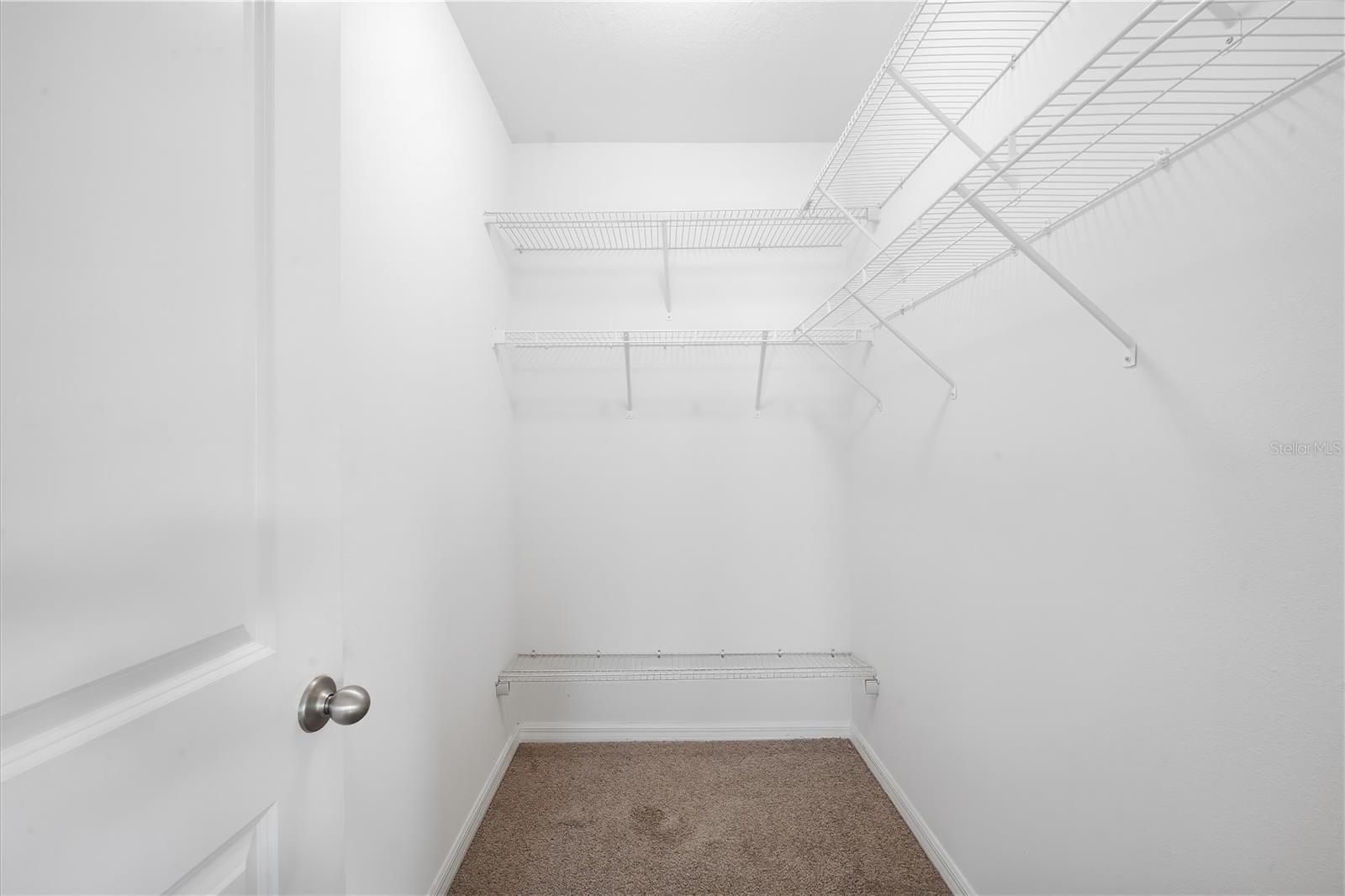 10836 TRAILING VINE DR — photo 17