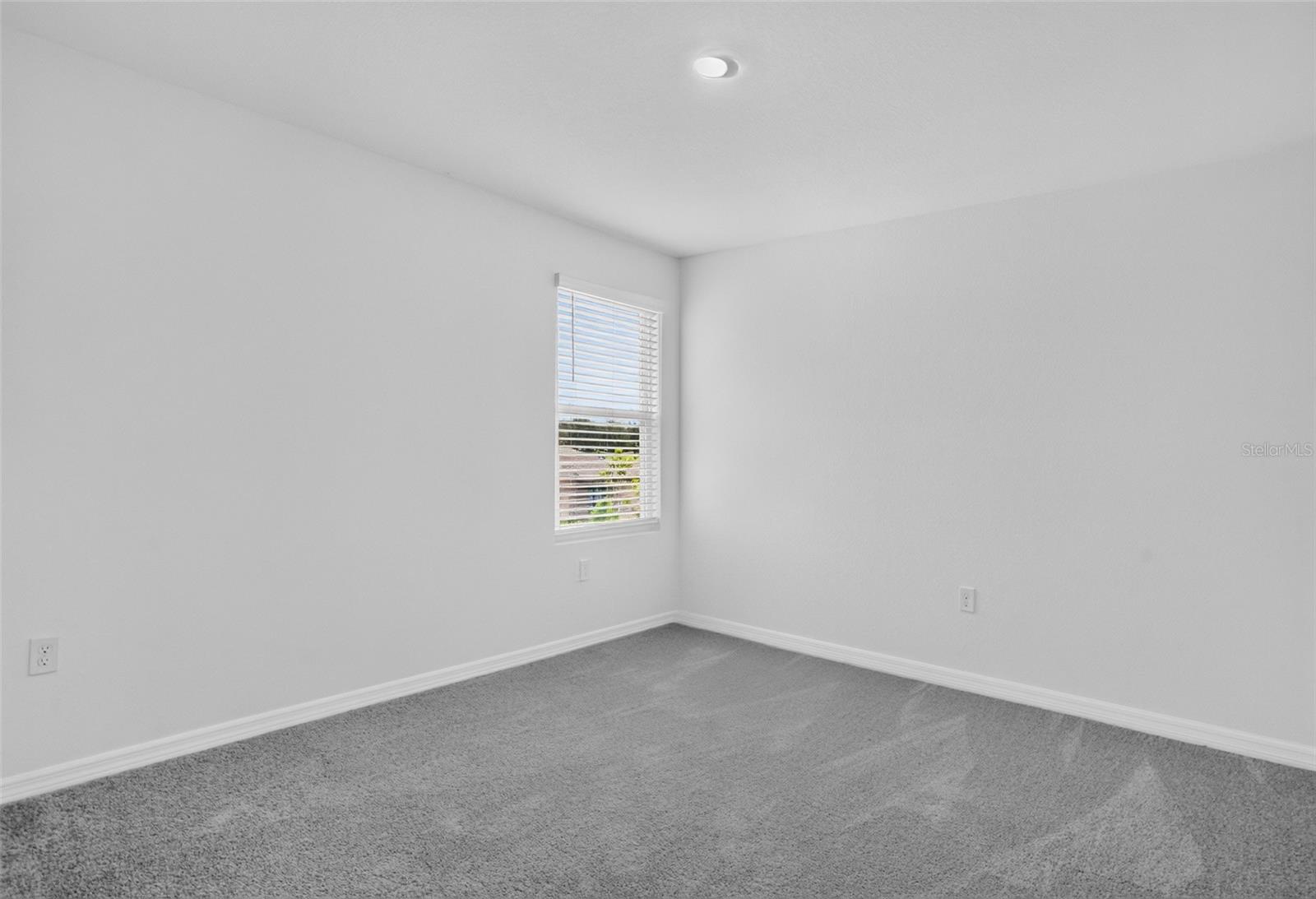 3514 AMBERSWEET XING — photo 3