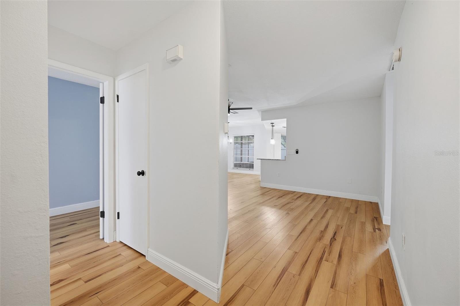 4240 COTTON TAIL DR — photo 3