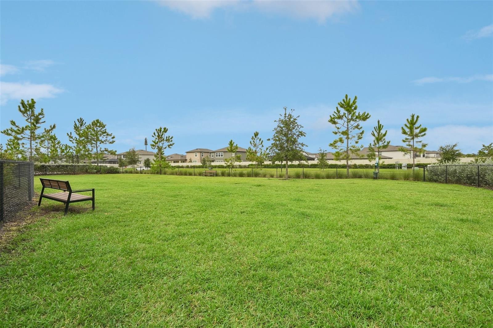 5517 BLUE AZURE DR — photo 41