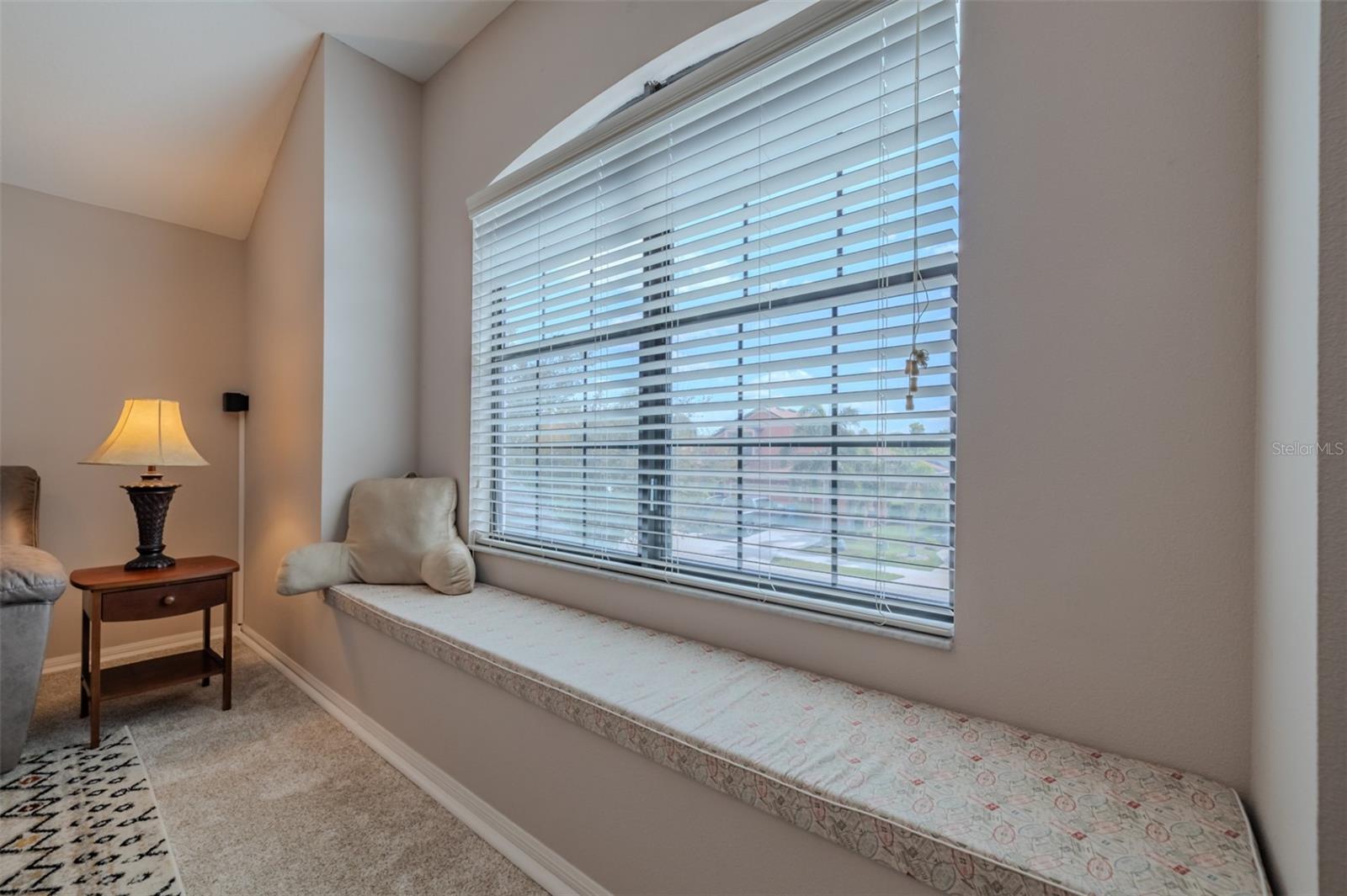 9123 RAES CREEK PL — photo 37