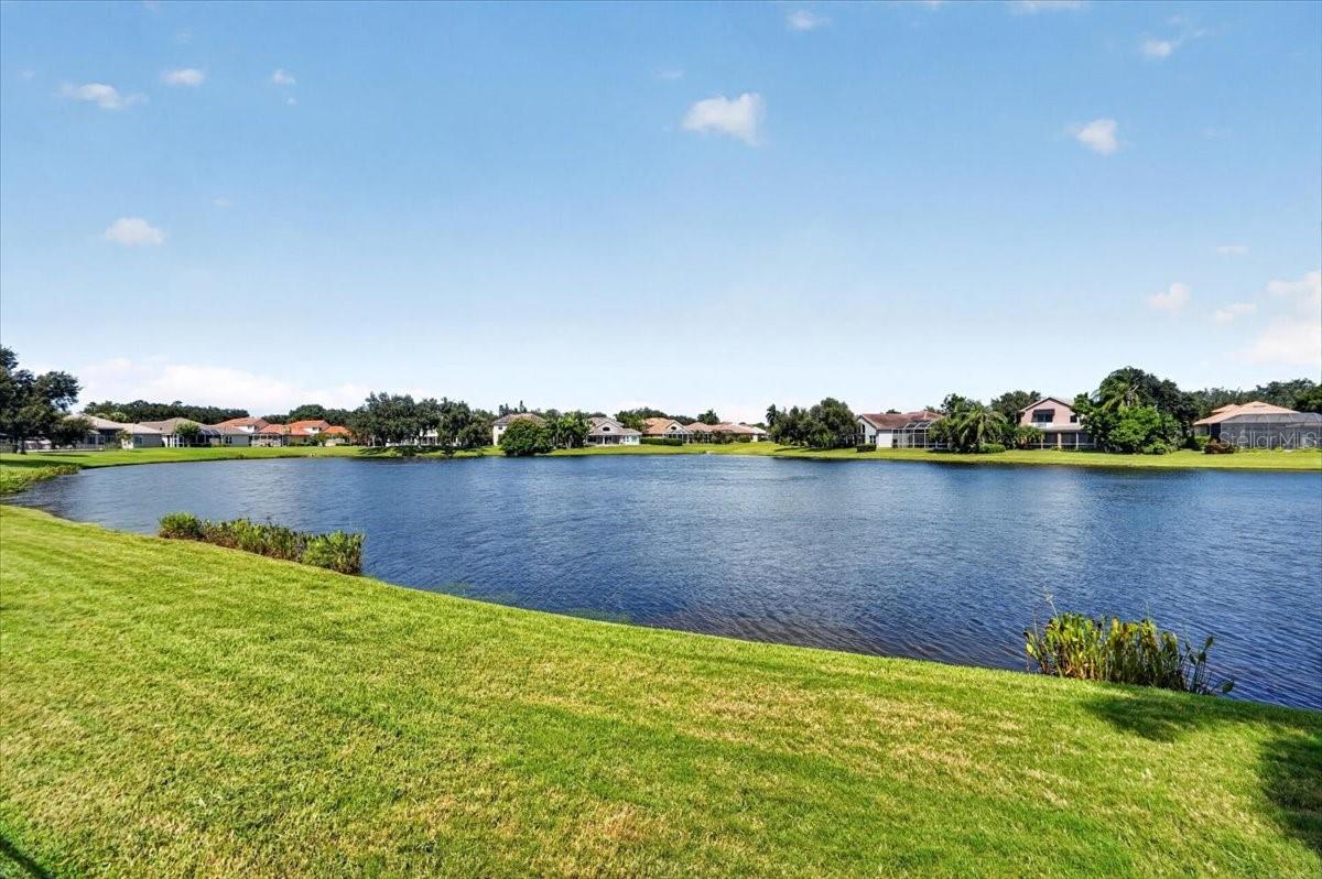 9736 SAGO POINT DR — photo 49