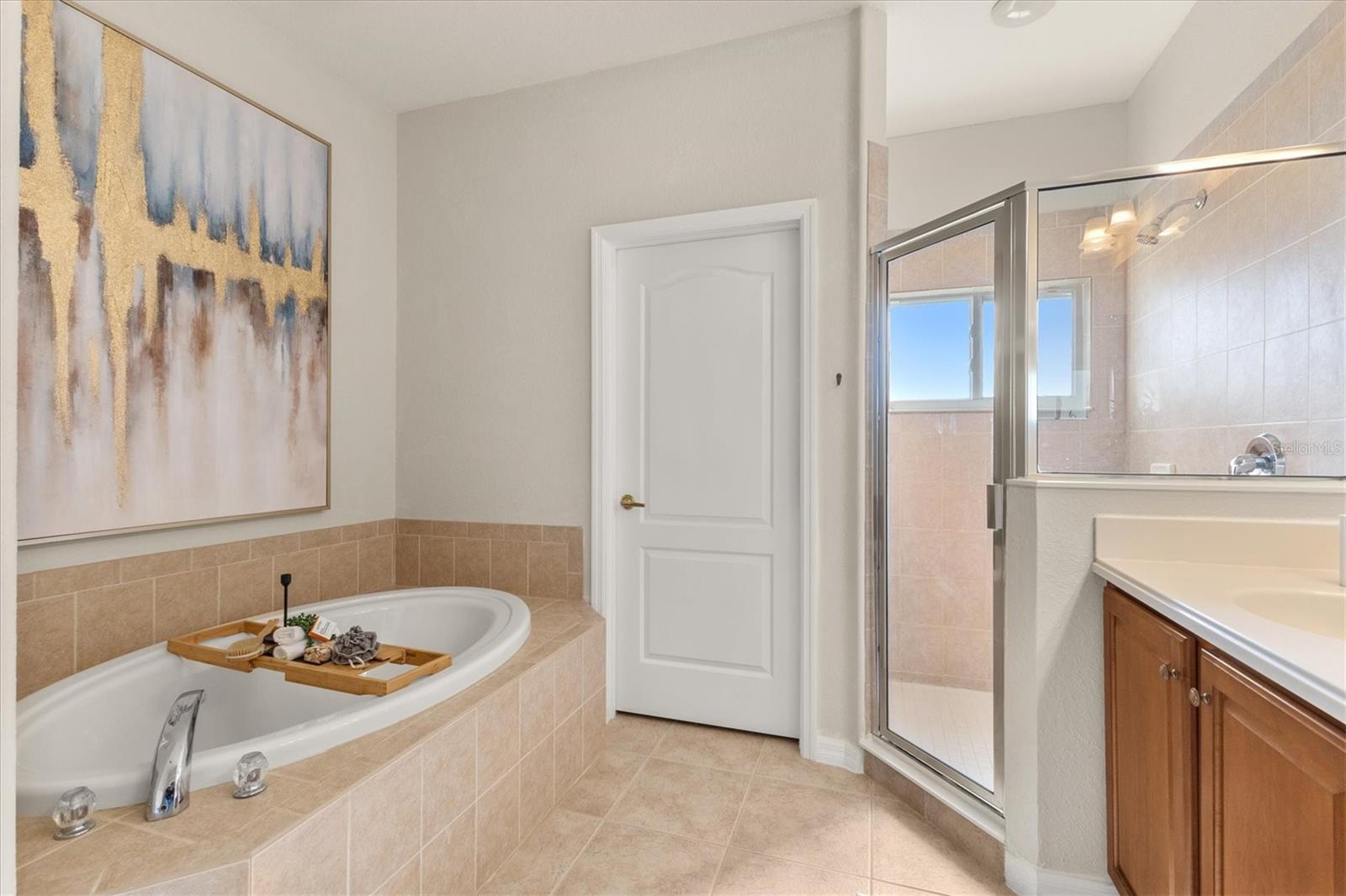 11504 DANCING RIVER DR — photo 22