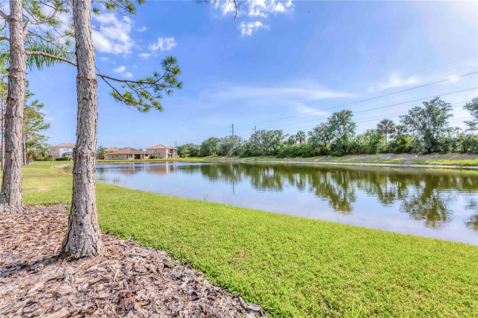 11504 DANCING RIVER DR — photo 5