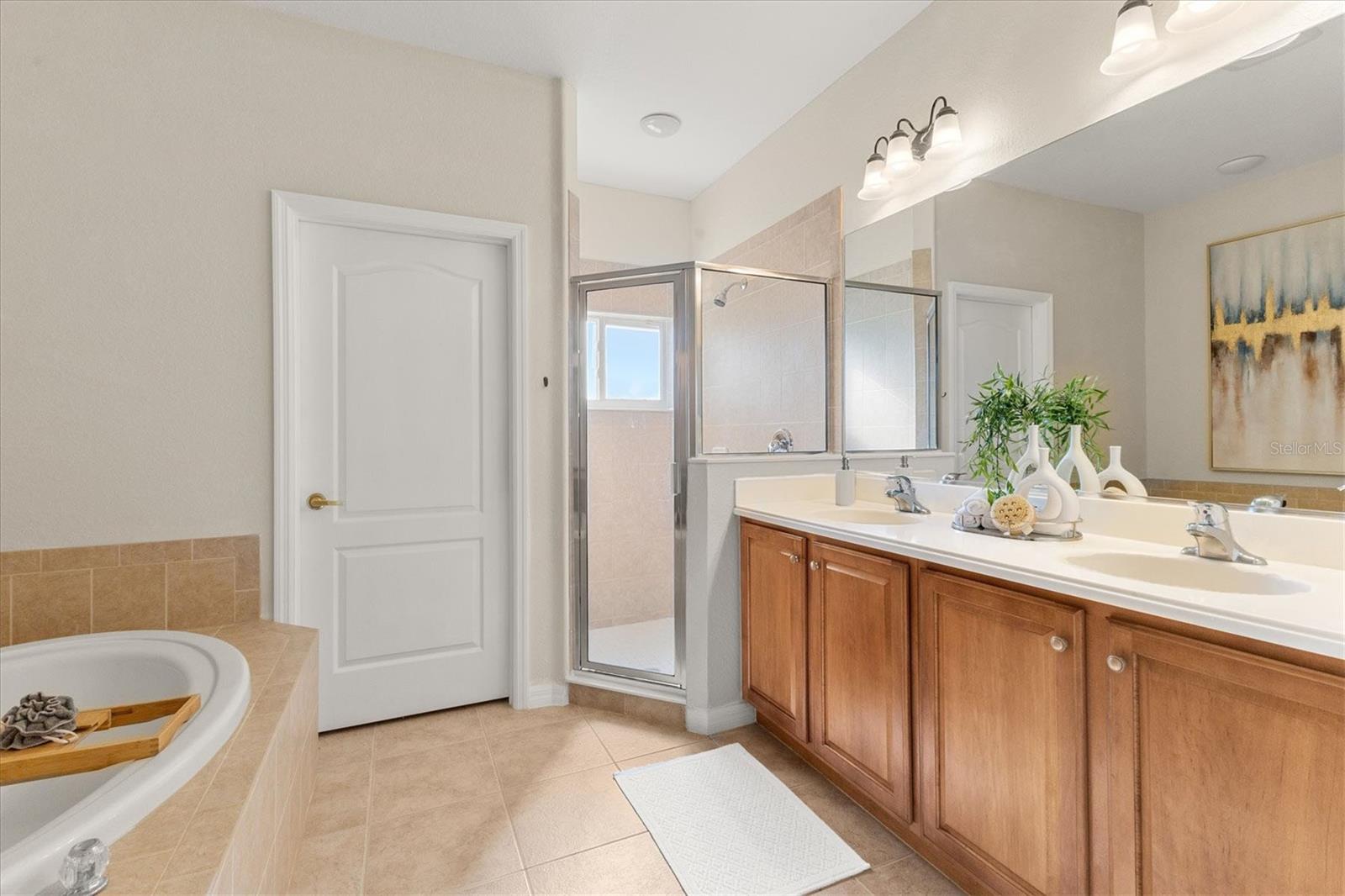 11504 DANCING RIVER DR — photo 21