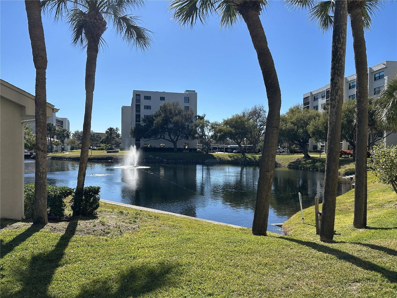 1316 PASADENA AVE S #202 — photo 40