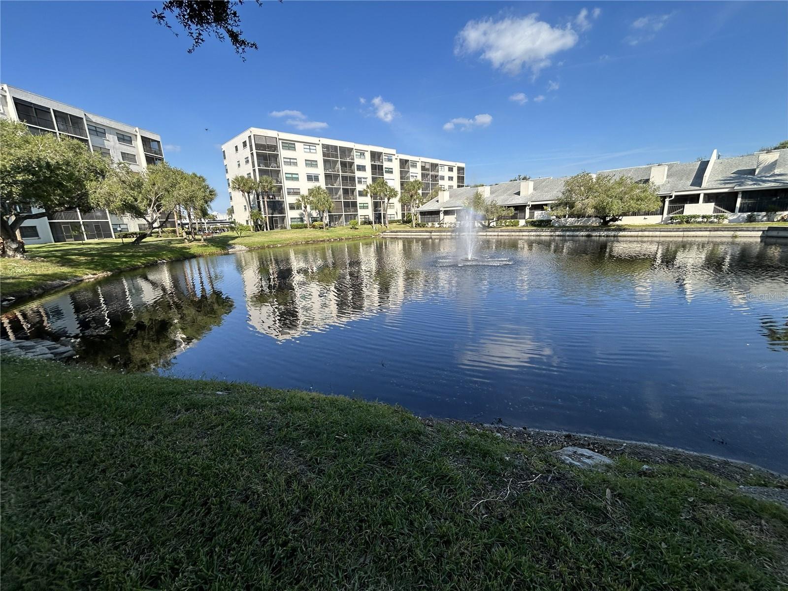 1316 PASADENA AVE S #202 — photo 41