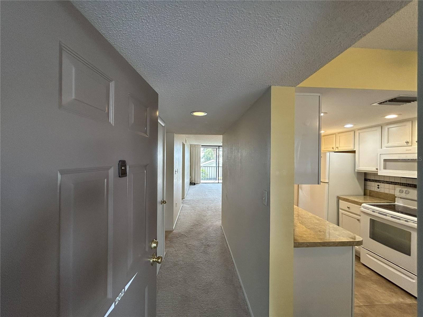 1316 PASADENA AVE S #202 — photo 4