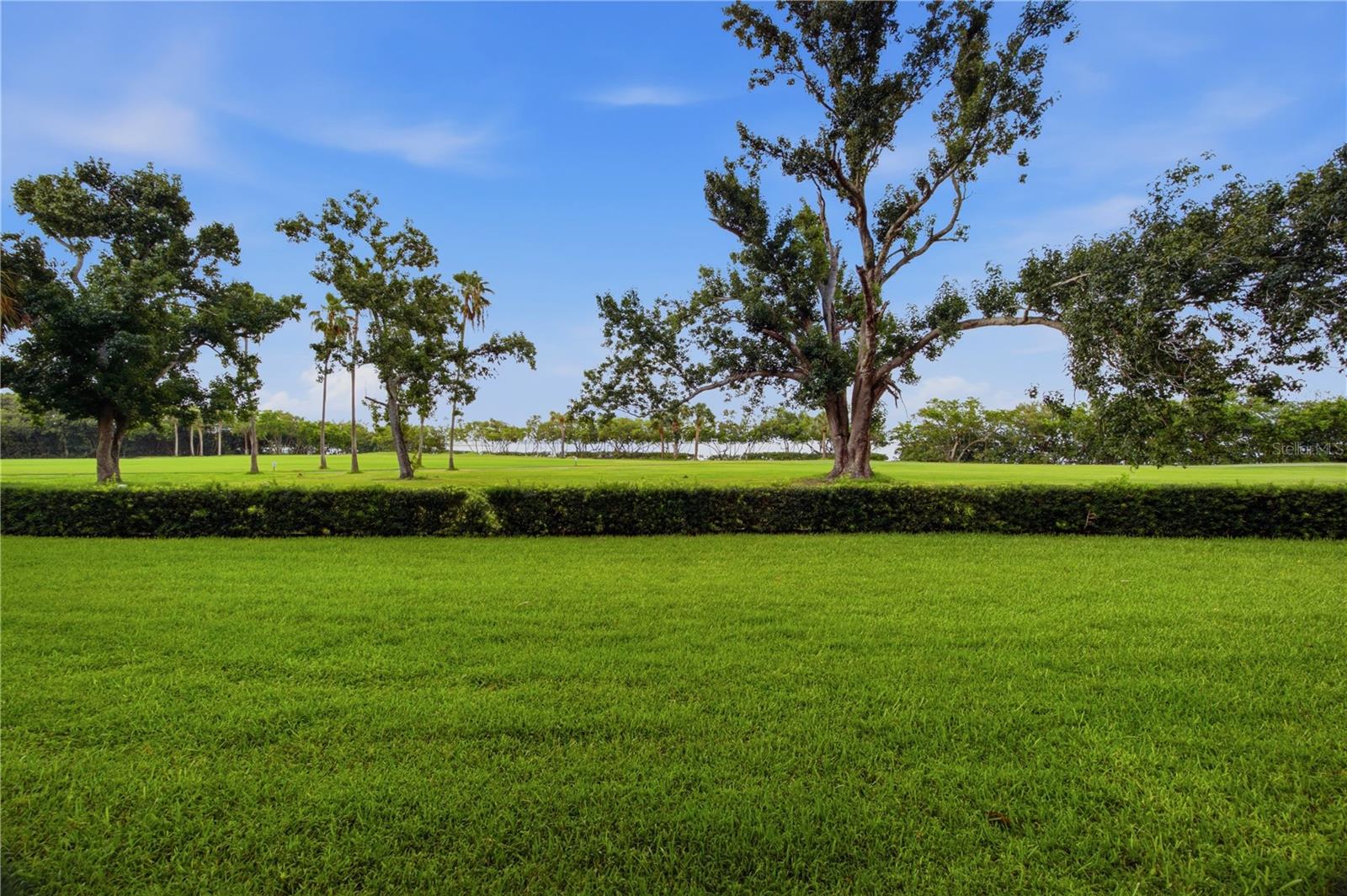 2617 COVE CAY DR #103 — photo 16