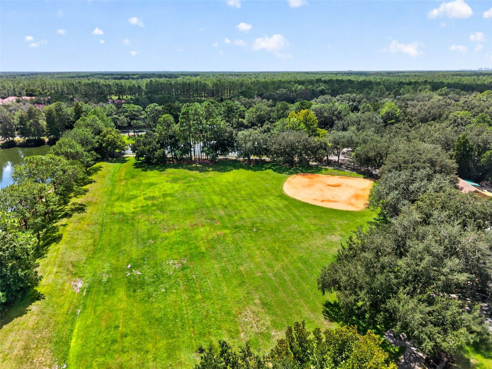 9136 HIGHLAND RIDGE WAY — photo 53