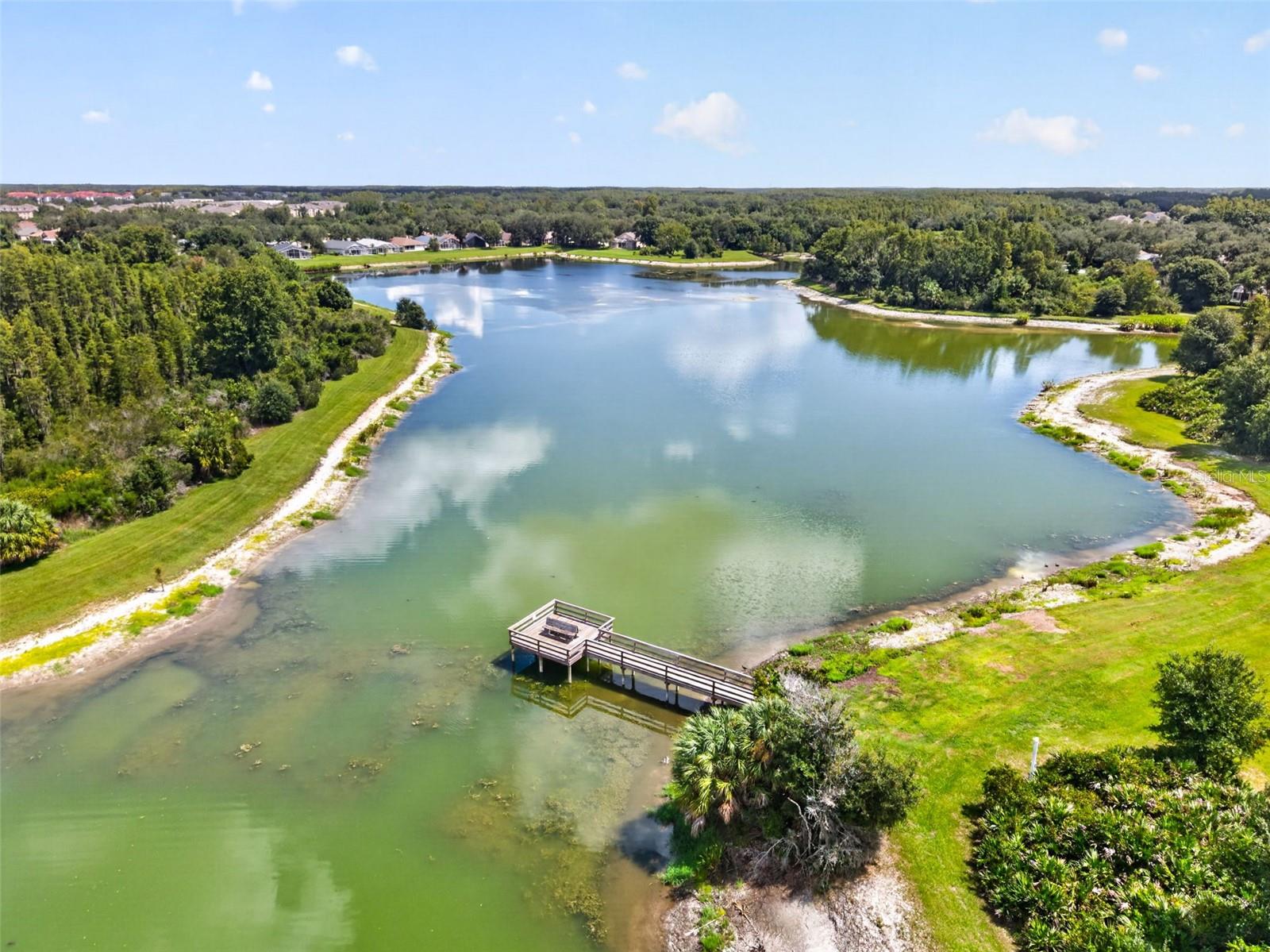 9136 HIGHLAND RIDGE WAY — photo 52