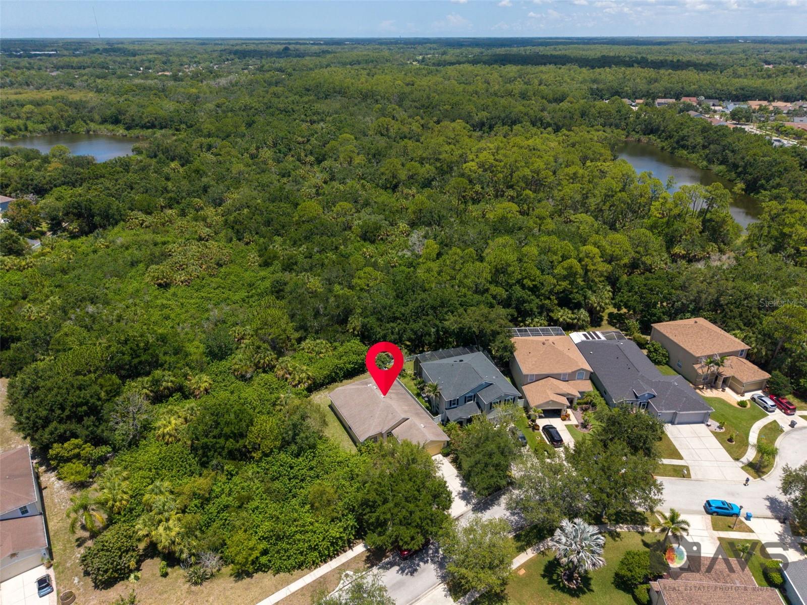 12415 RUSTIC VIEW CT — photo 58