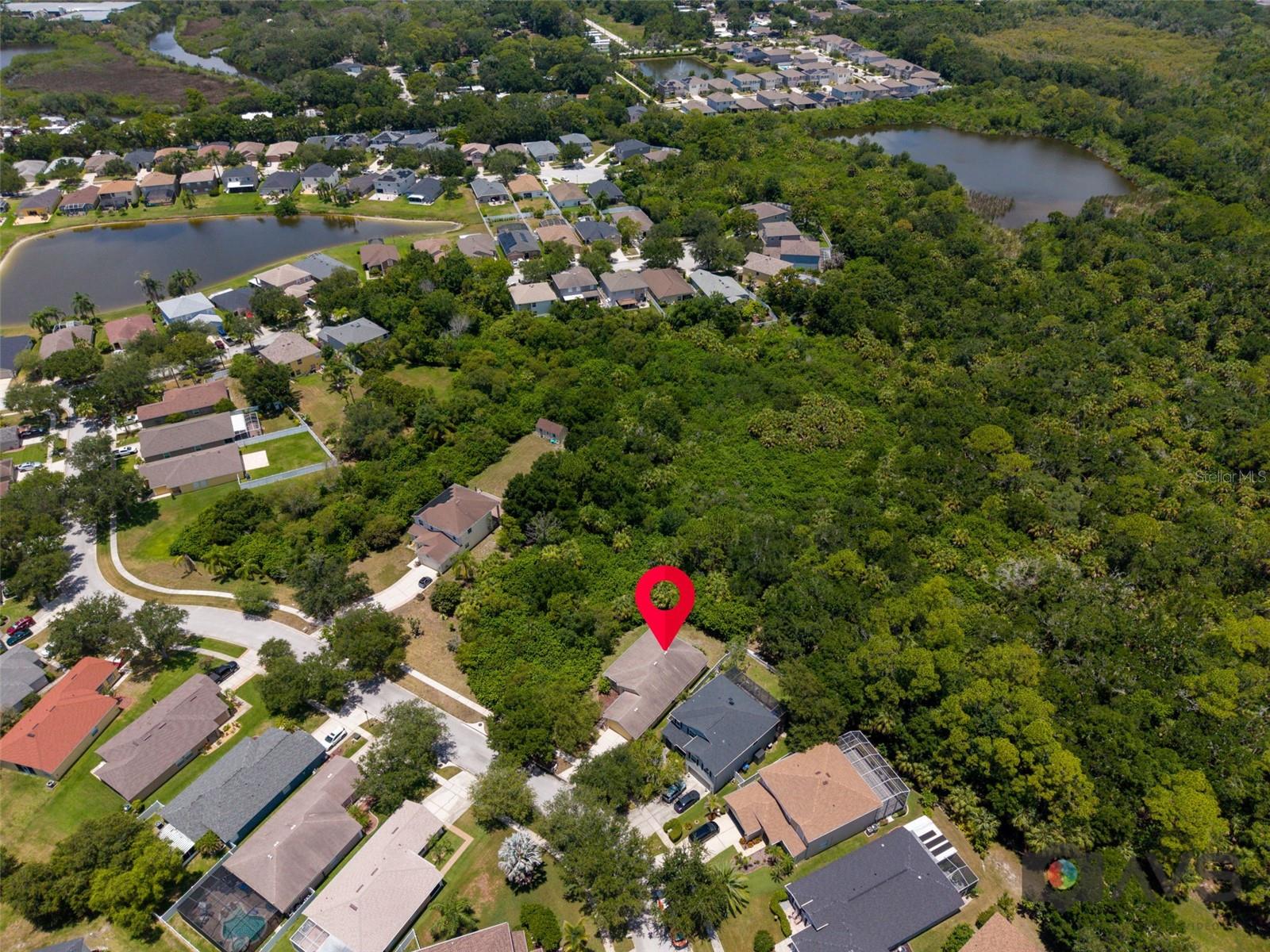 12415 RUSTIC VIEW CT — photo 62