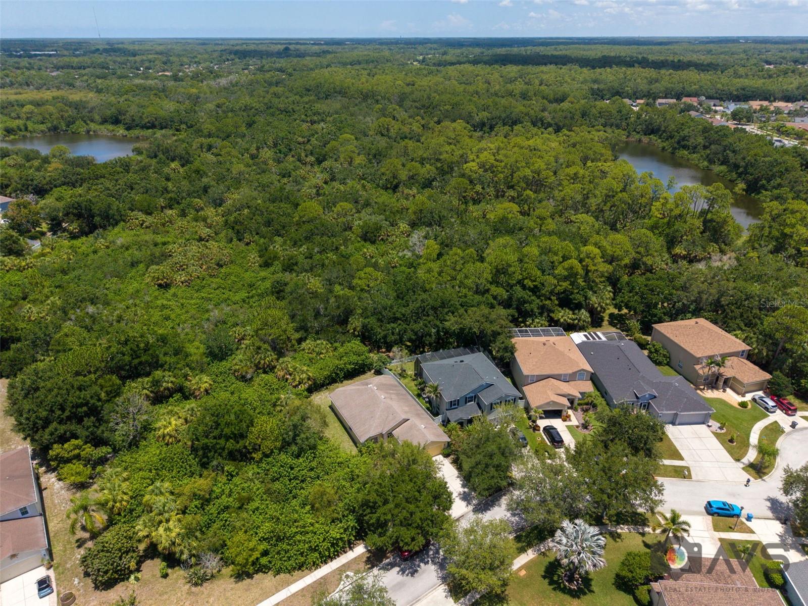 12415 RUSTIC VIEW CT — photo 59