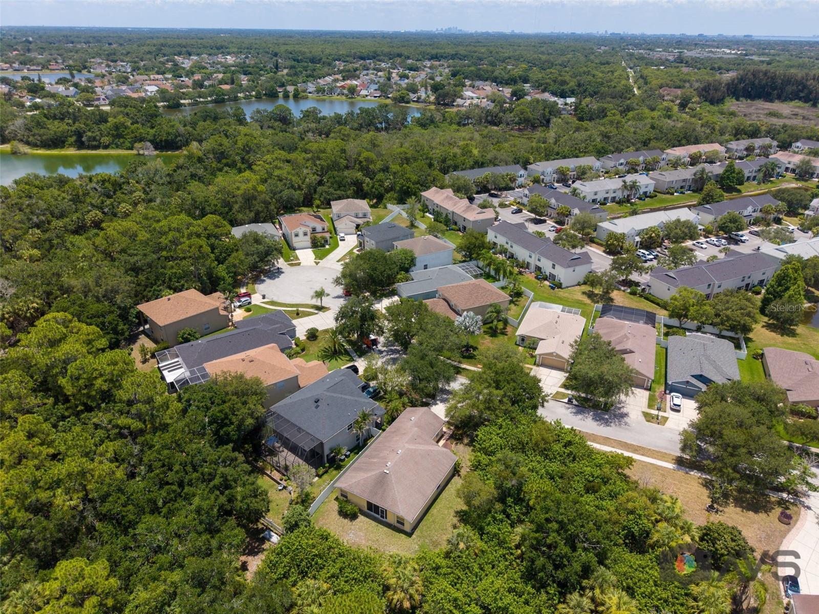 12415 RUSTIC VIEW CT — photo 56
