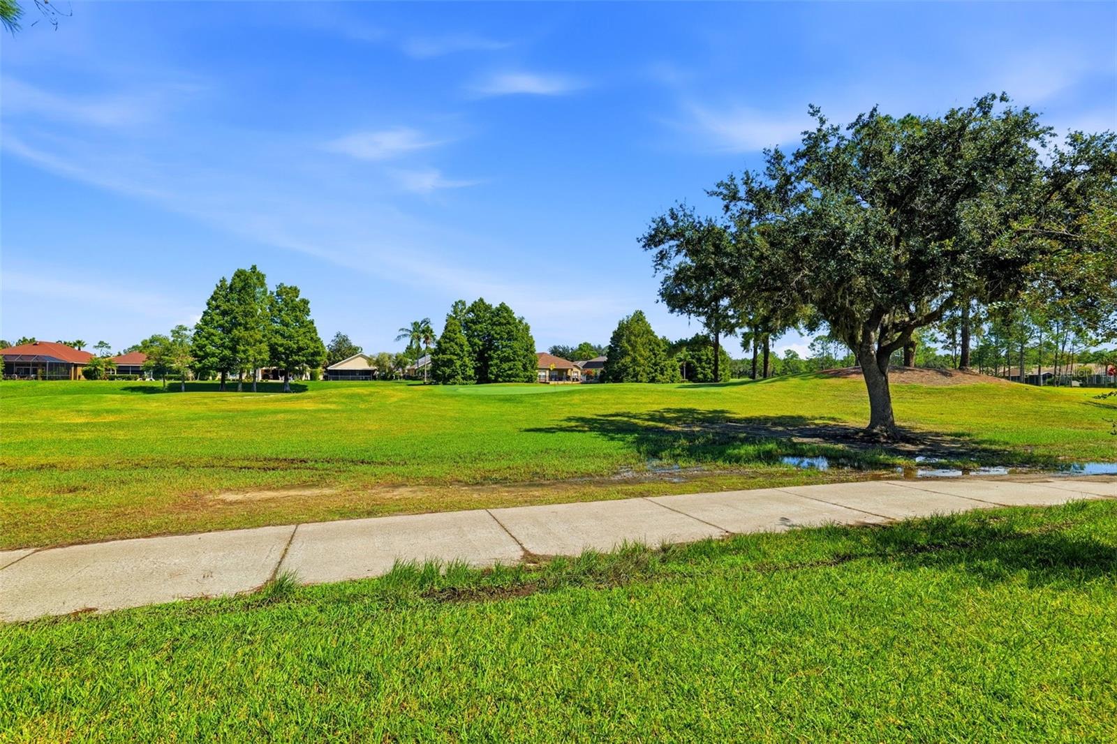 23821 CORAL RIDGE LN — photo 36