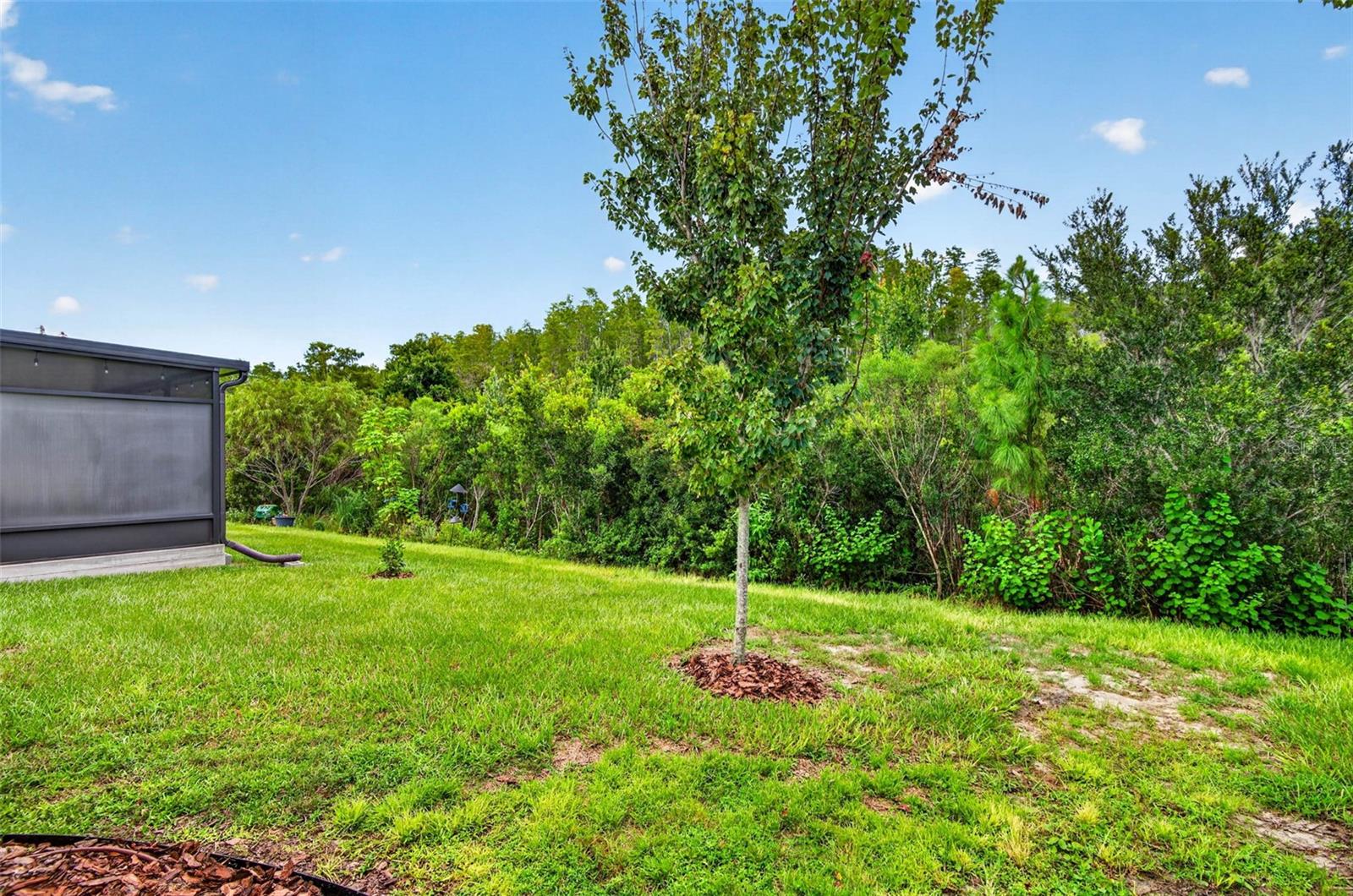 18333 TURNING LEAF CIR — photo 31