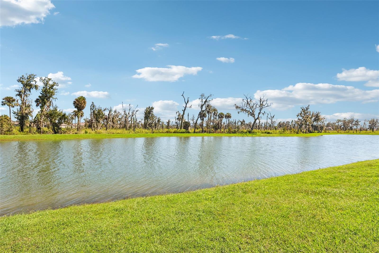 4048 CAPRI COAST DR — photo 36