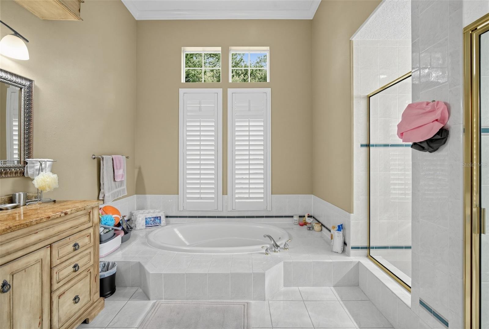 9108 WOODRIDGE RUN DR — photo 39
