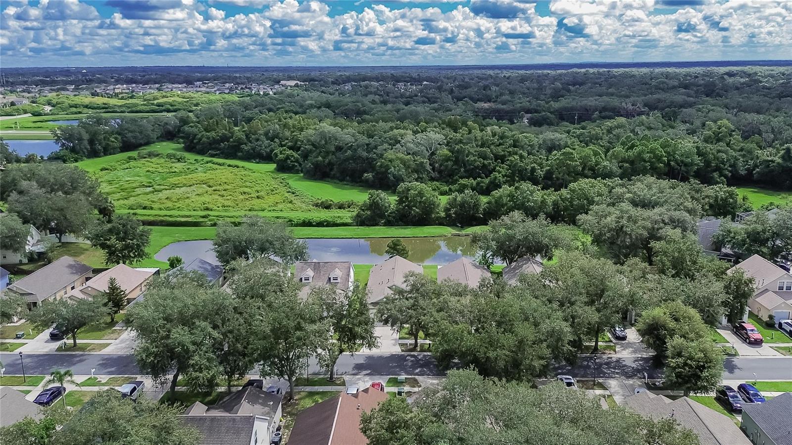 6634 SUMMER HAVEN DR — photo 28
