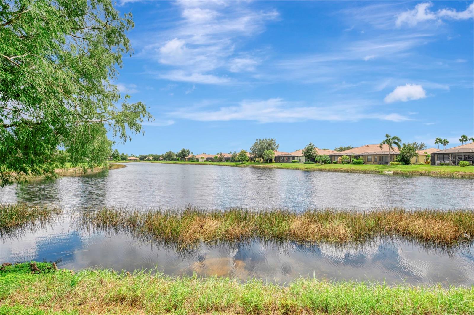 1359 MASENO DR — photo 58