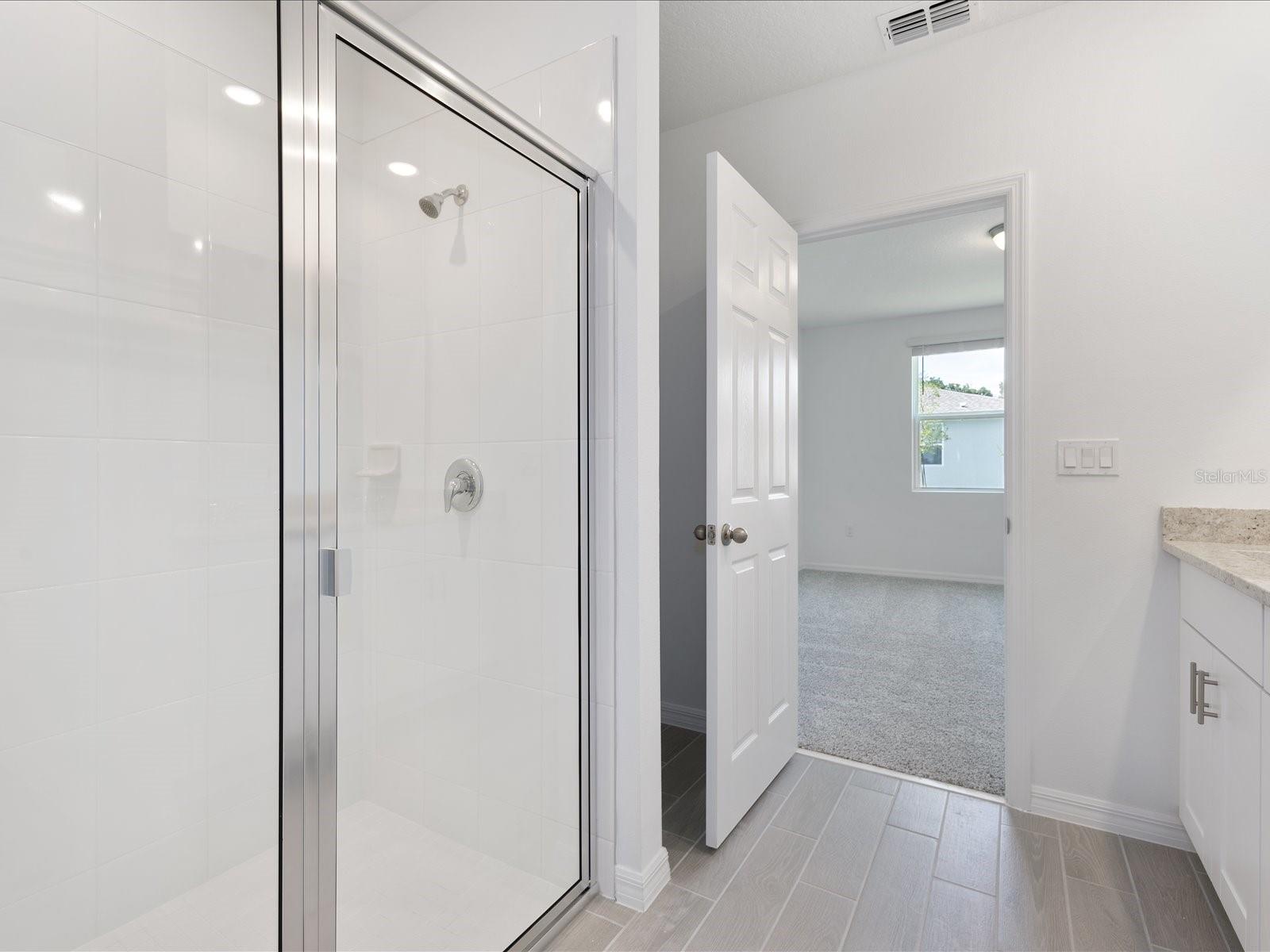 10846 BUDDING BLOSSOM CT — photo 8