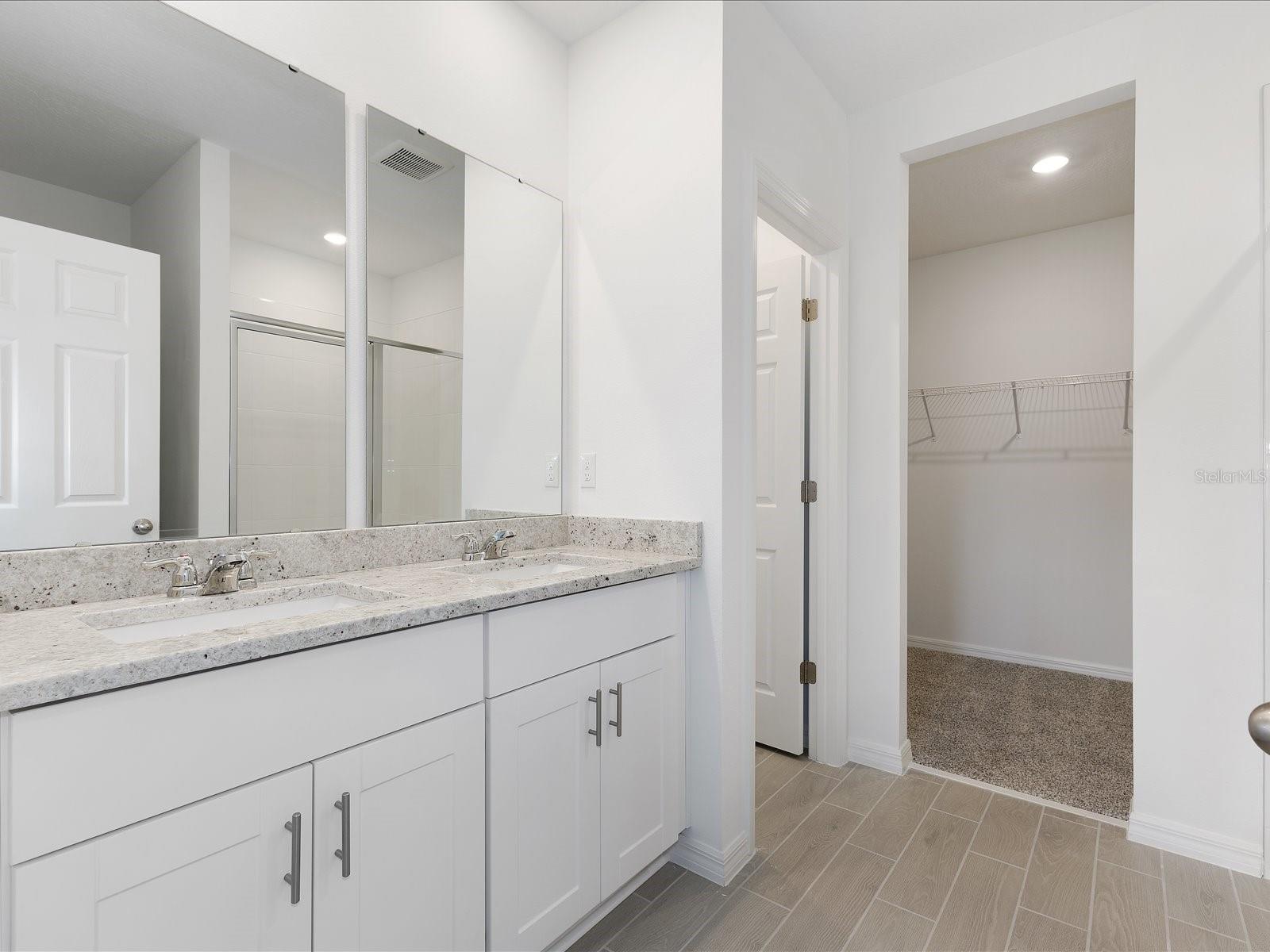 10846 BUDDING BLOSSOM CT — photo 7