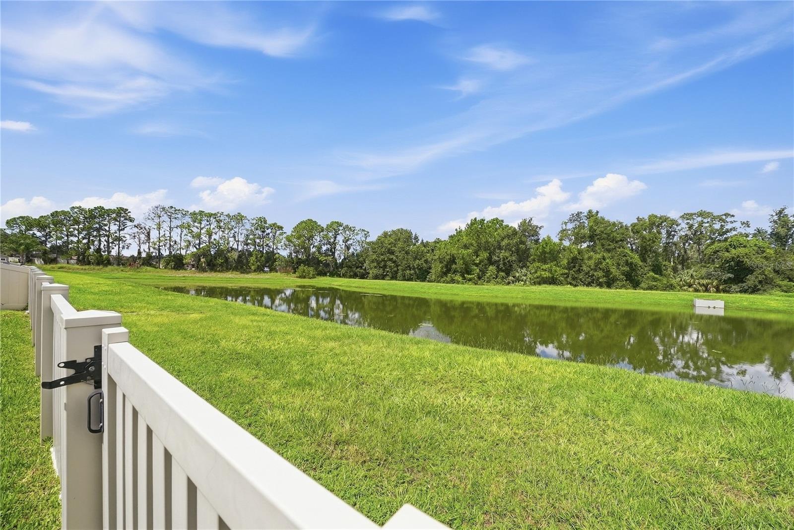 12152 CREEK PRESERVE DR — photo 38