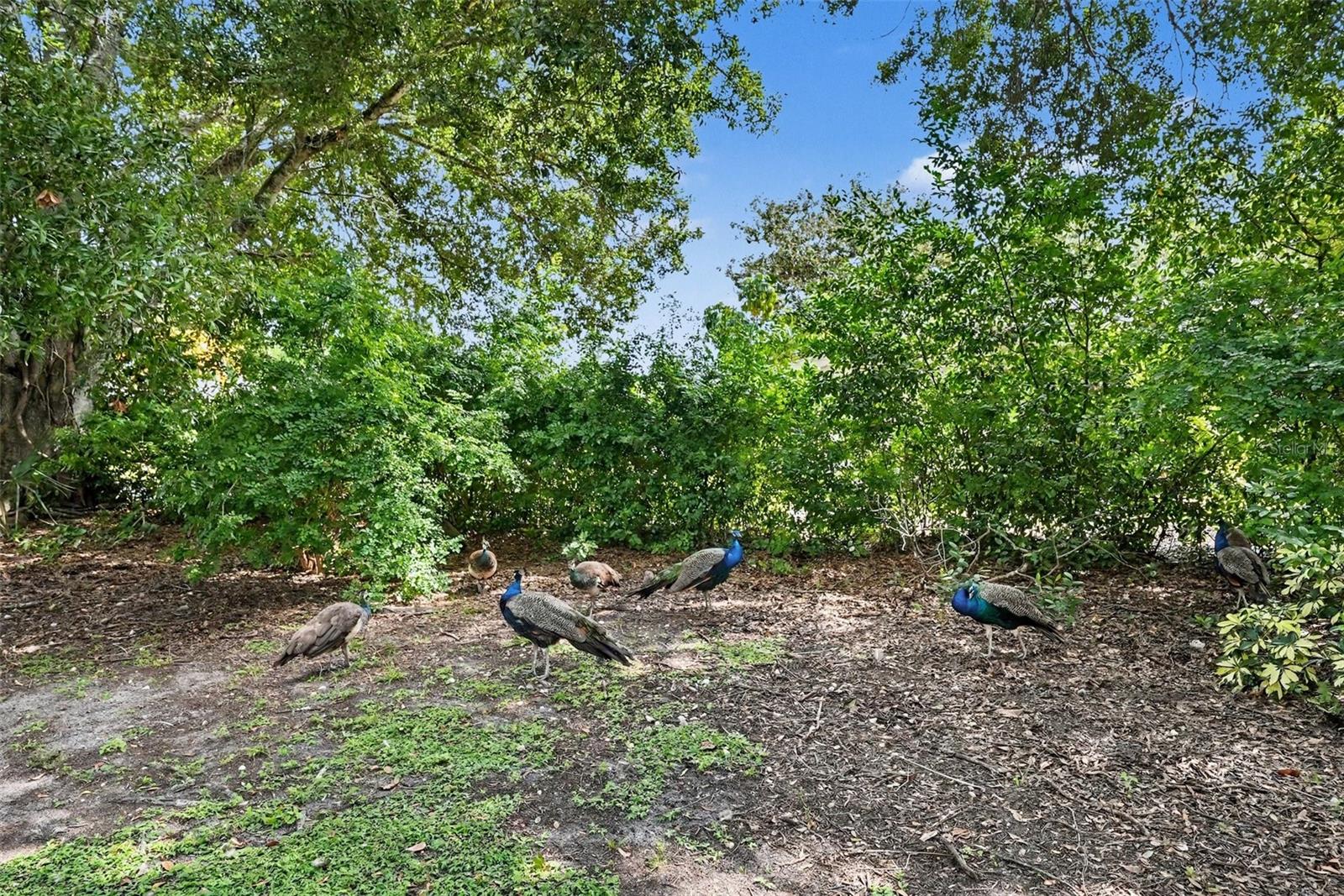 2400 INDIGO DR — photo 5