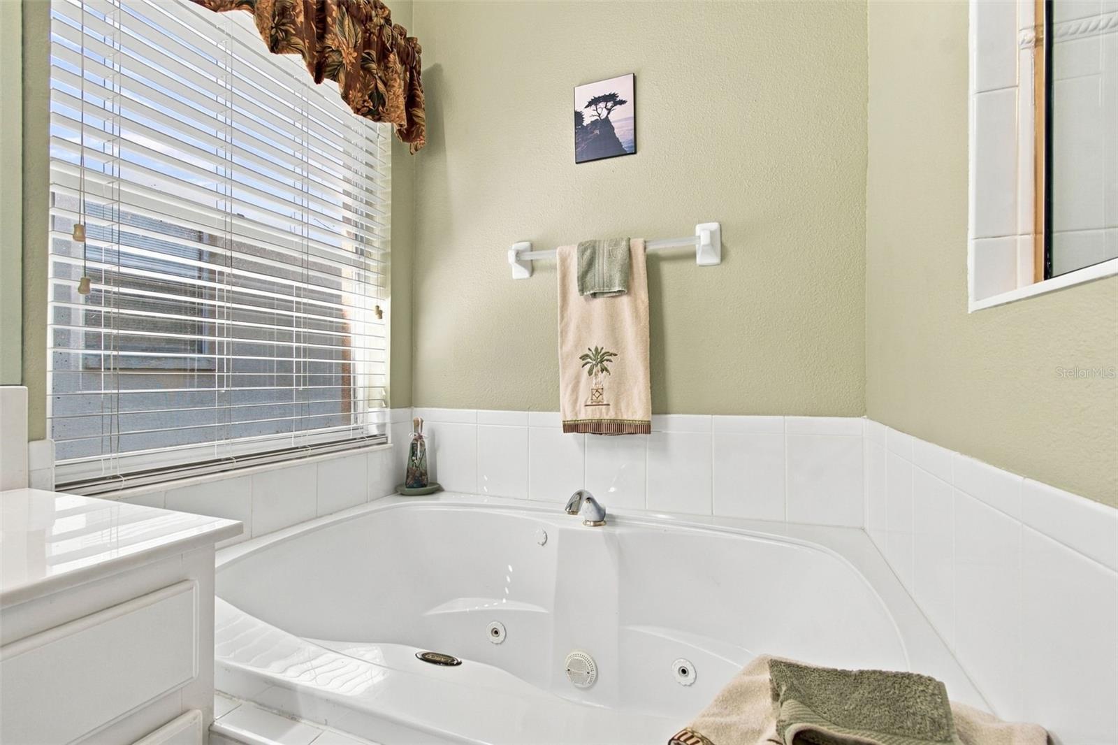 16213 NOTTINGHAM PARK WAY — photo 34