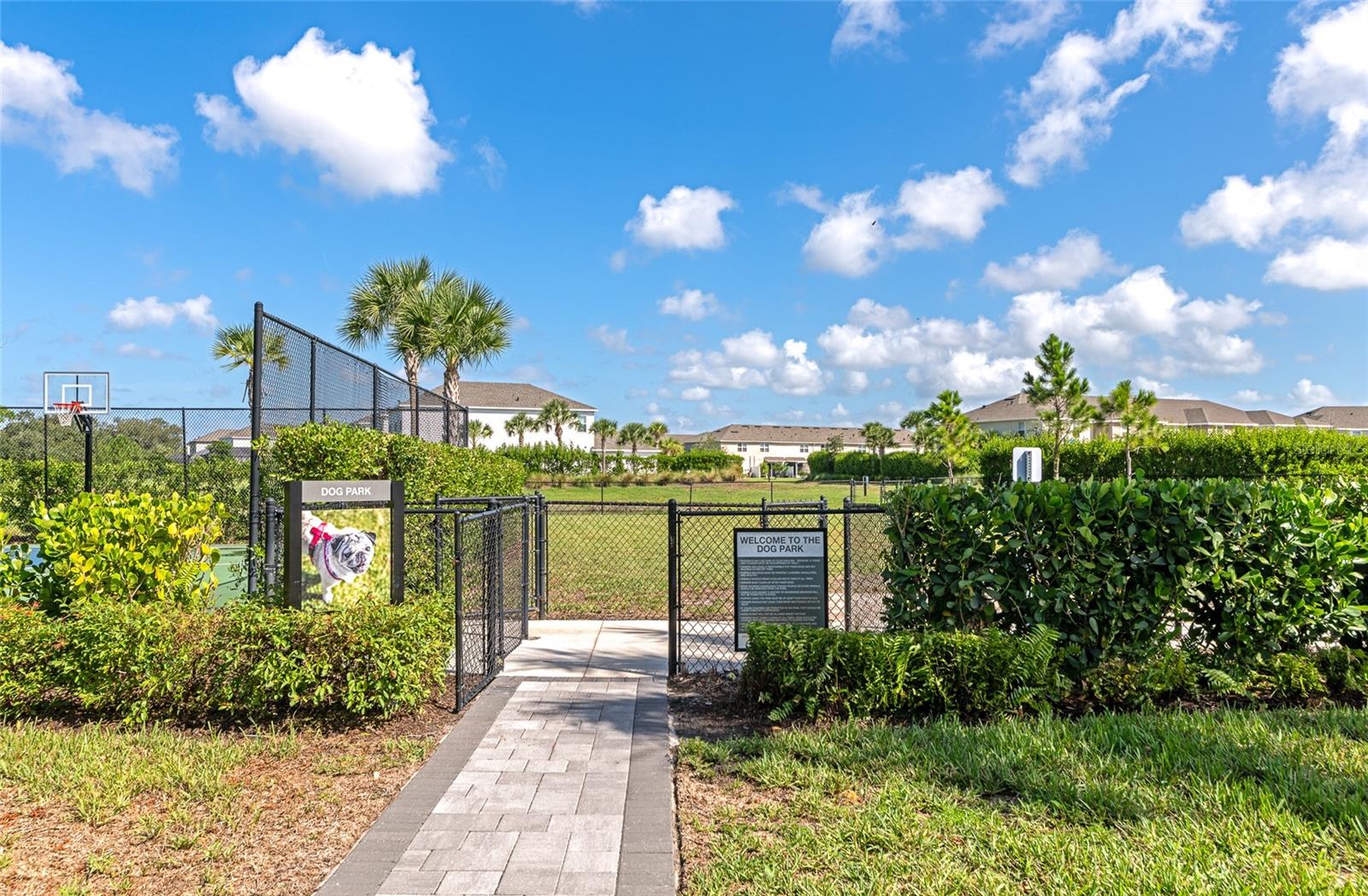 15317 ISLA PALMA LN — photo 48