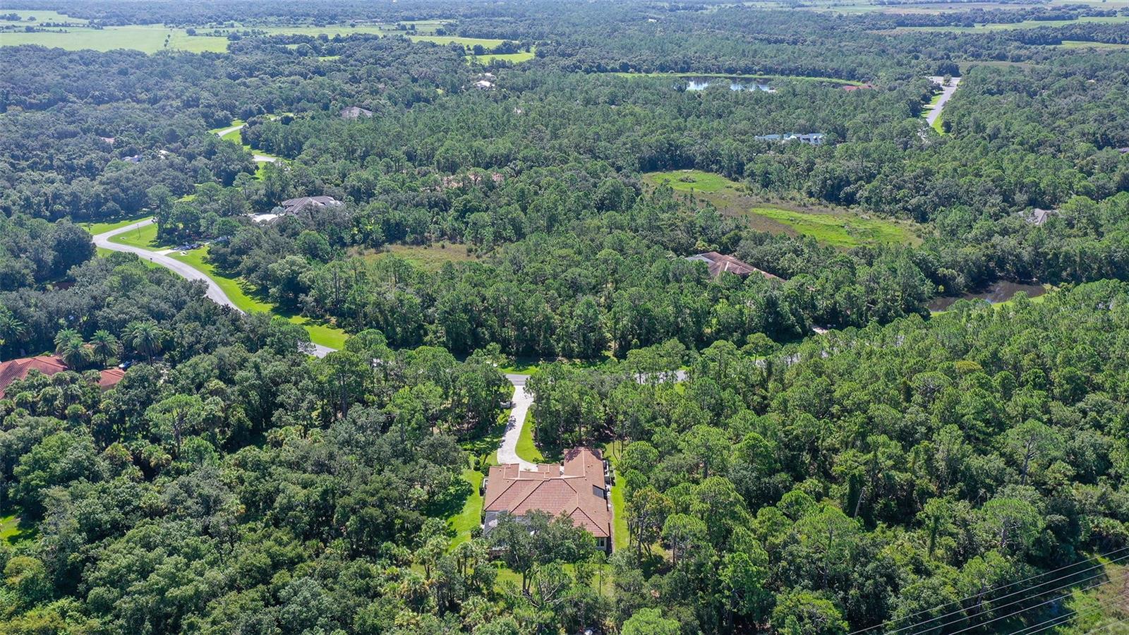 9291 SWAYING BRANCH RD — photo 53